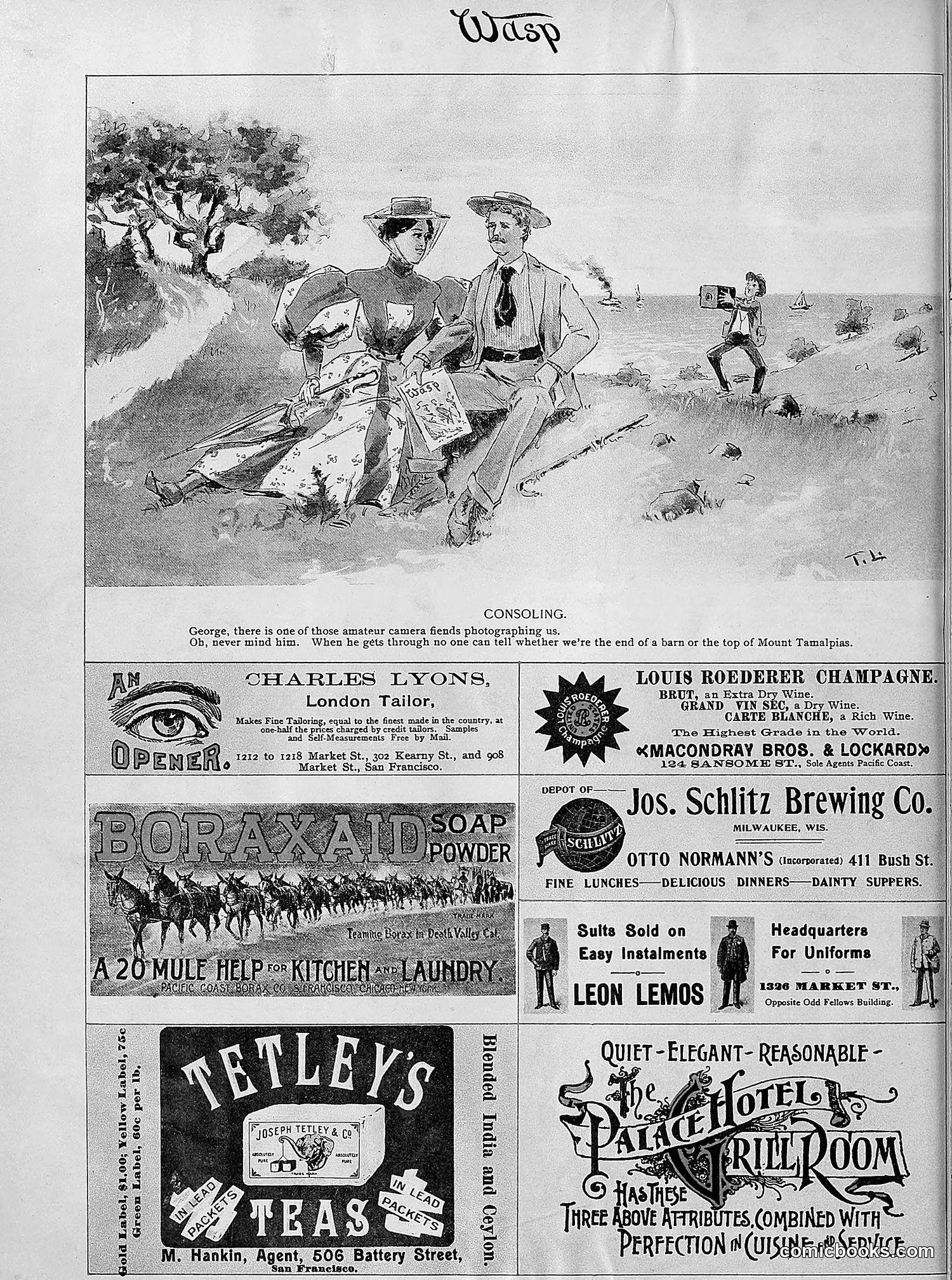 The Wasp — 1895 — page 655 of 1100