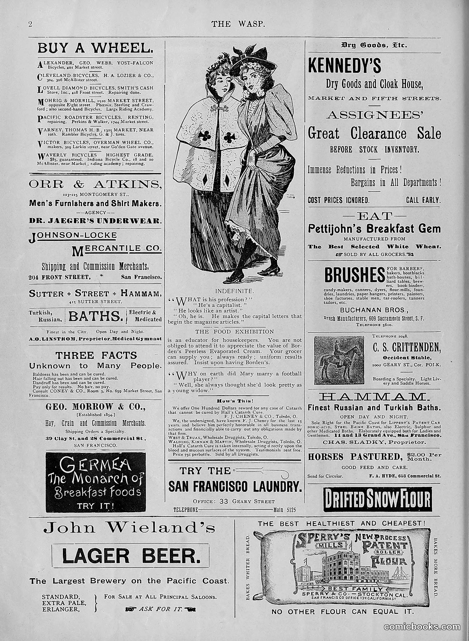 The Wasp — 1895 — page 67 of 1100