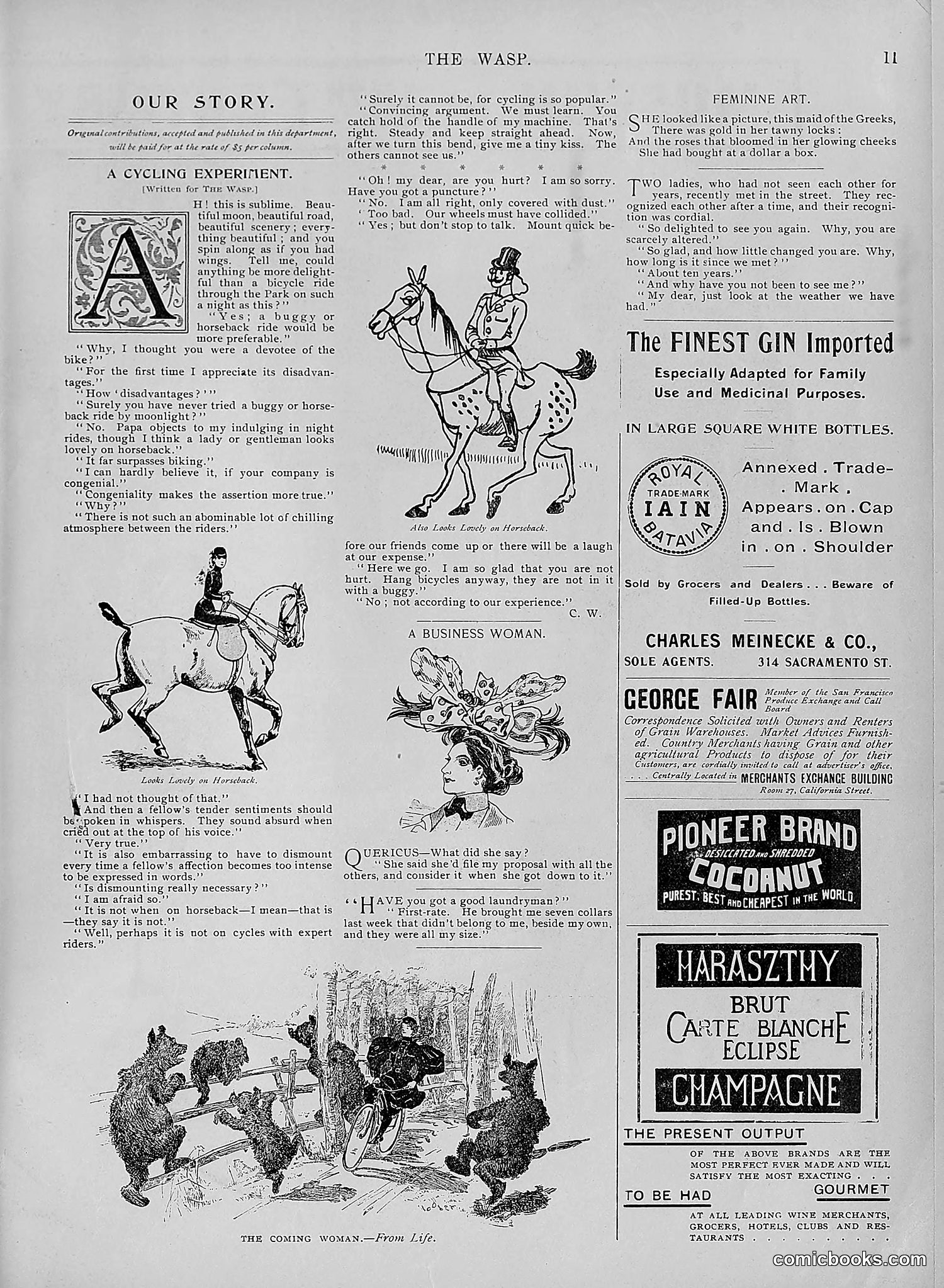 The Wasp — 1895 — page 666 of 1100