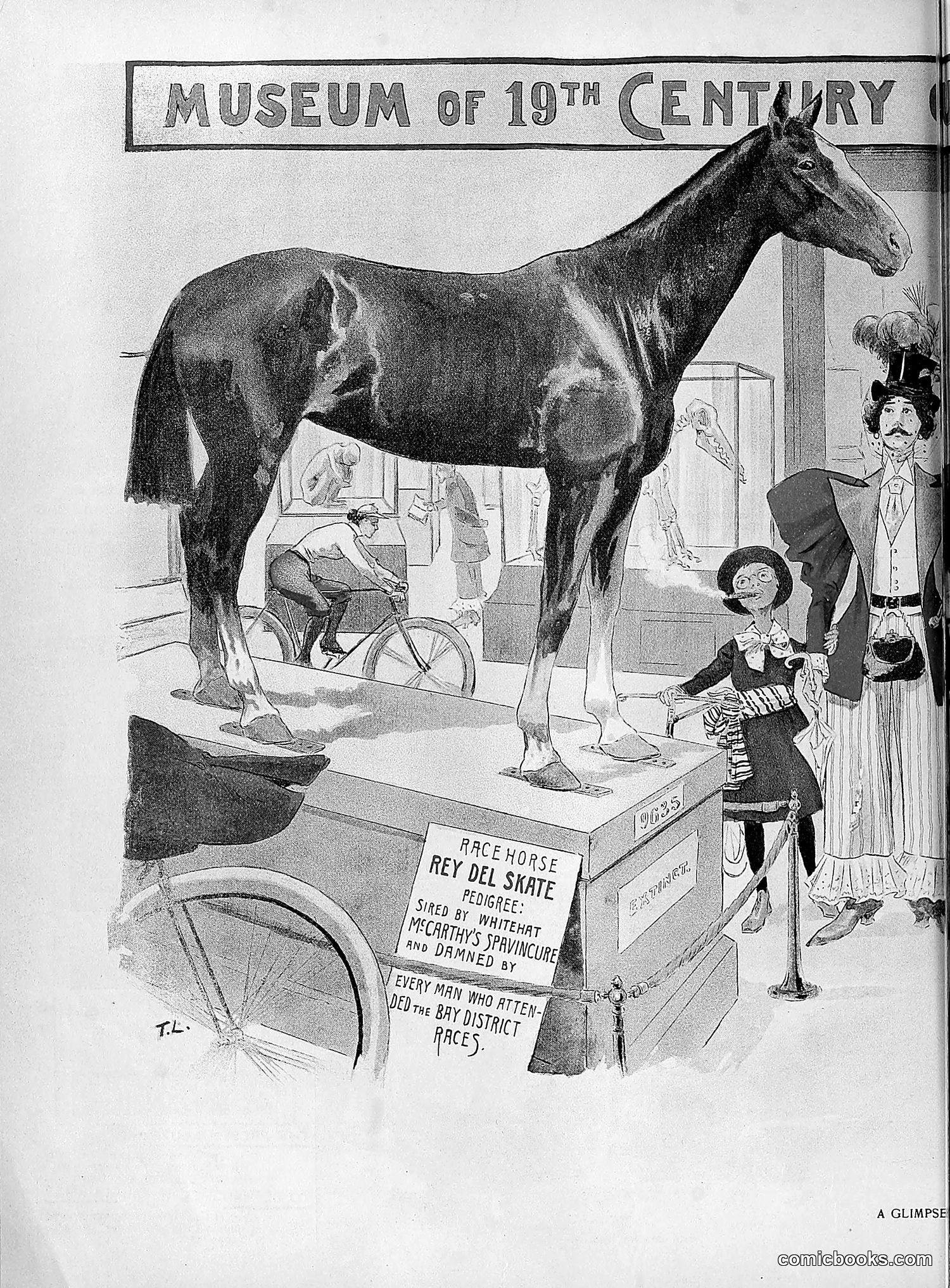 The Wasp — 1895 — page 667 of 1100