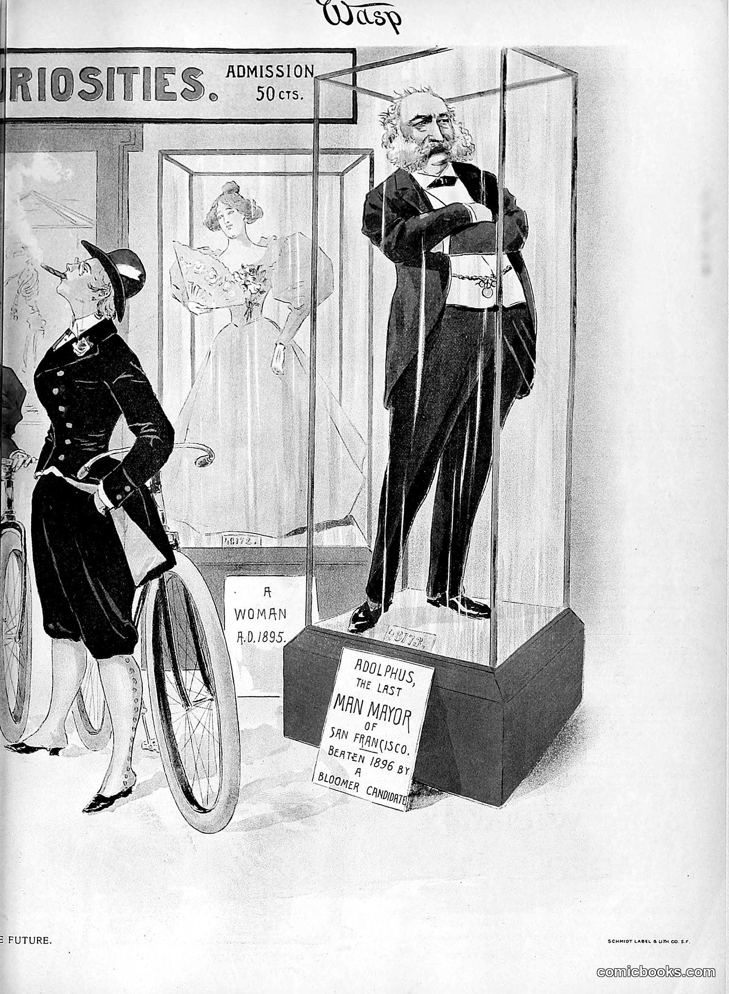 The Wasp — 1895 — page 668 of 1100