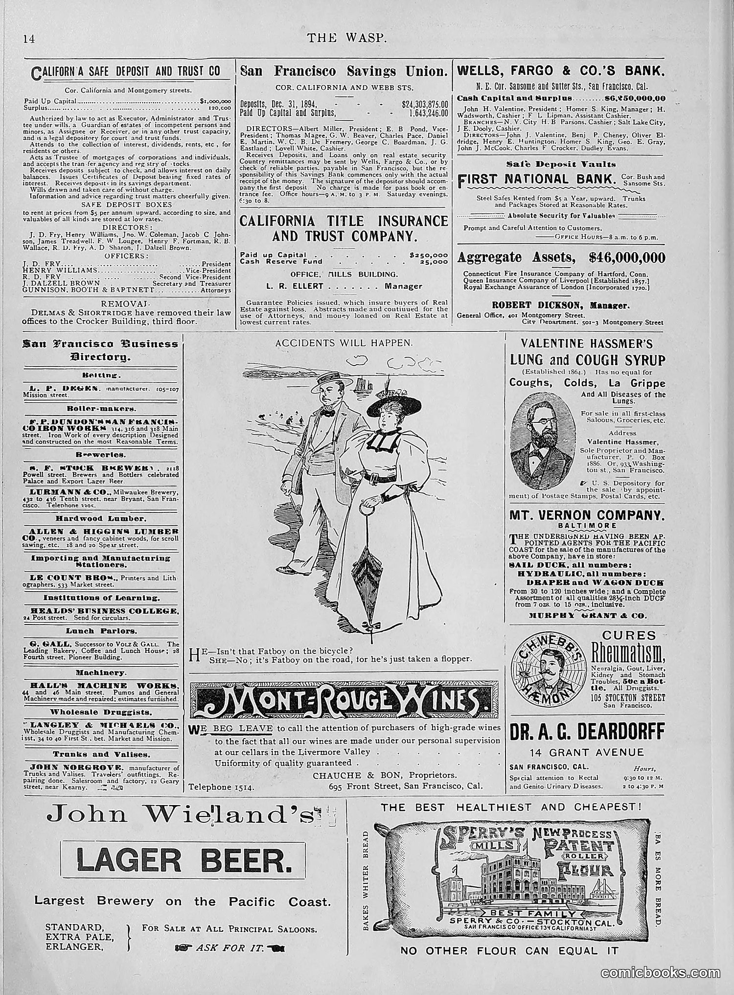 The Wasp — 1895 — page 669 of 1100