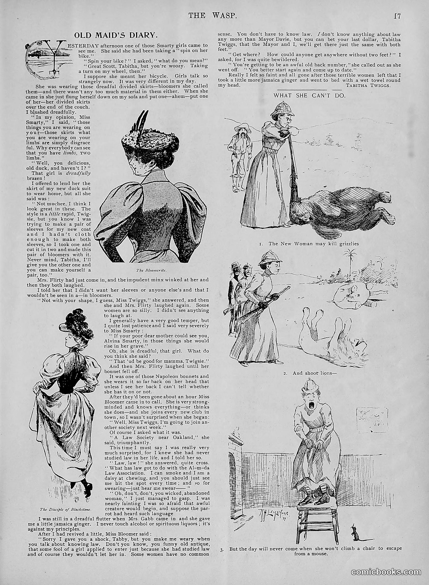 The Wasp — 1895 — page 672 of 1100