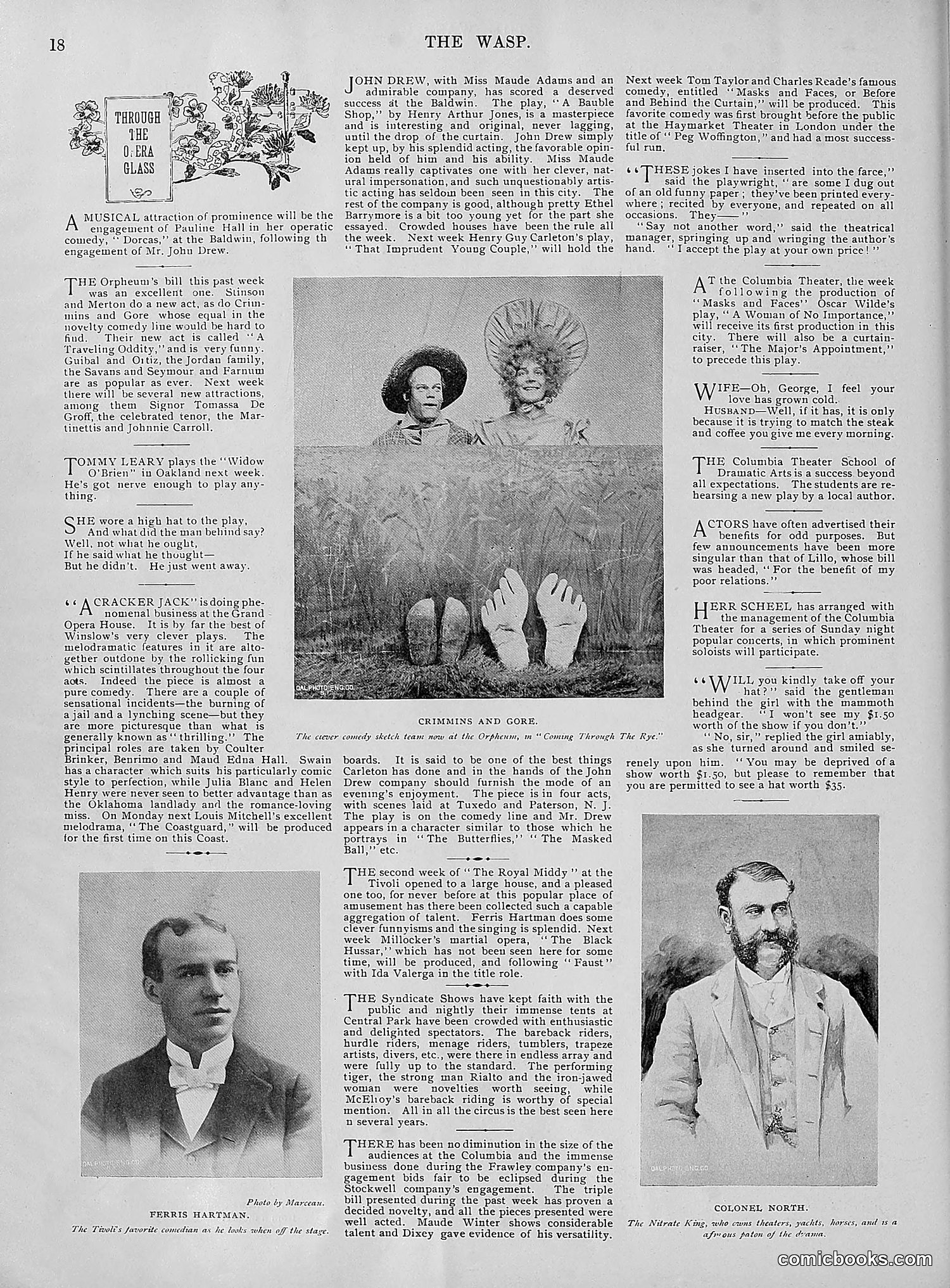 The Wasp — 1895 — page 673 of 1100