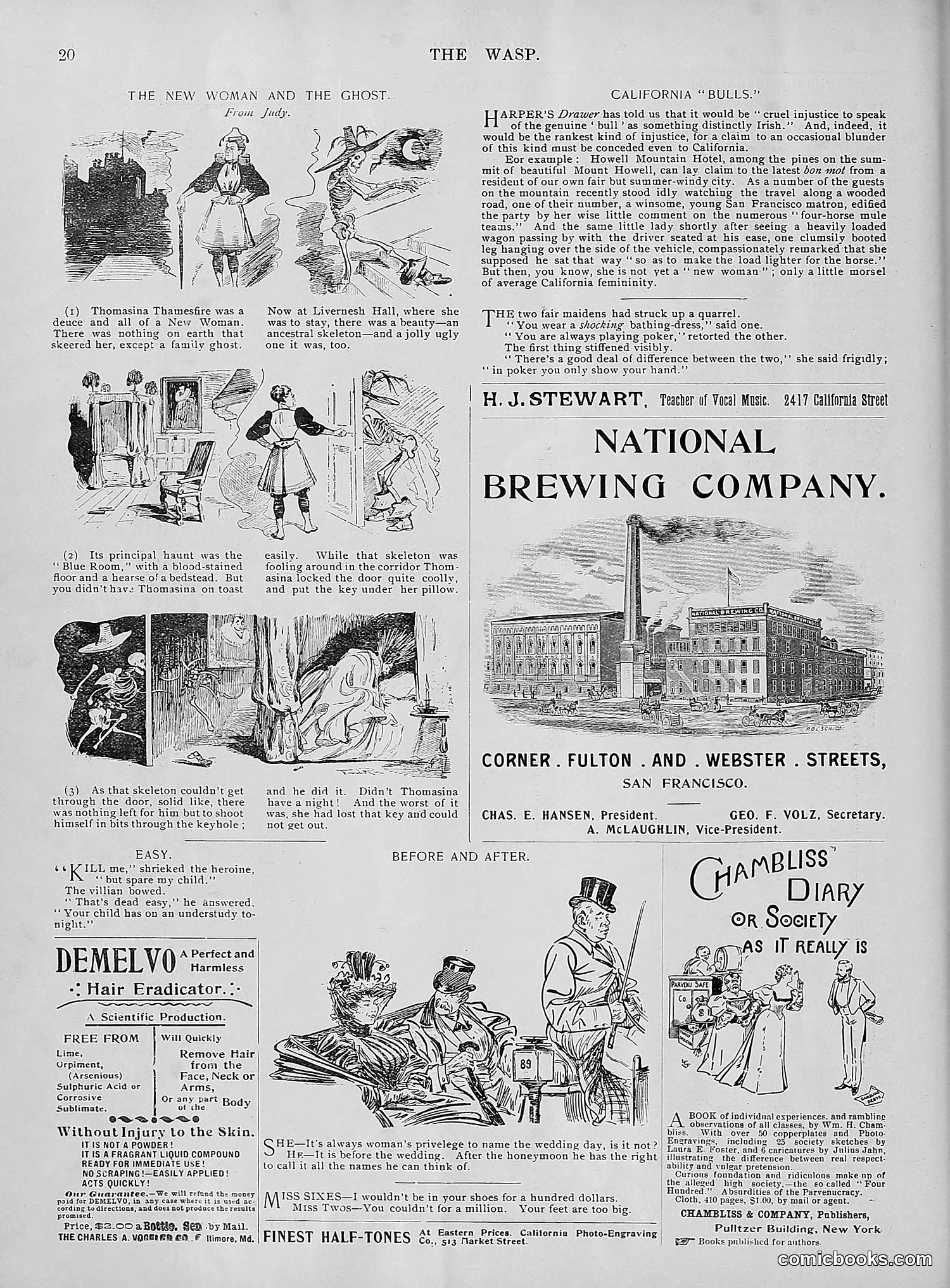 The Wasp — 1895 — page 675 of 1100