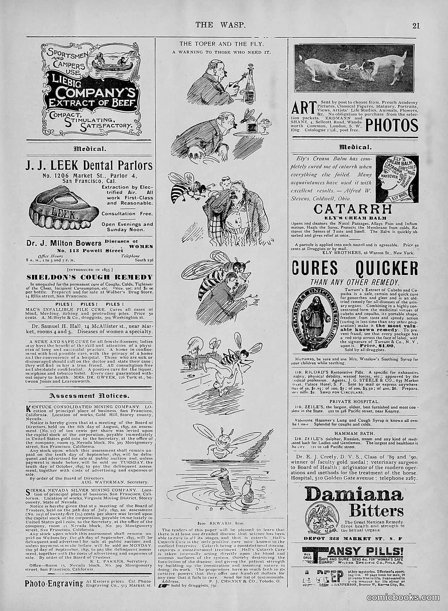 The Wasp — 1895 — page 676 of 1100