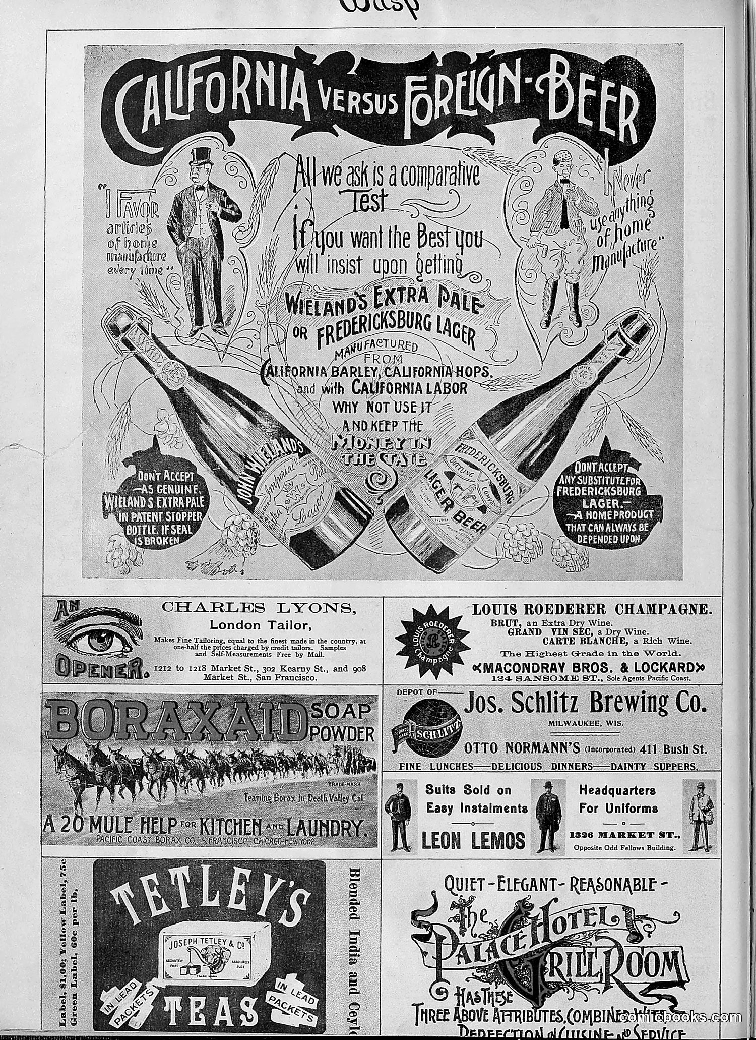 The Wasp — 1895 — page 679 of 1100