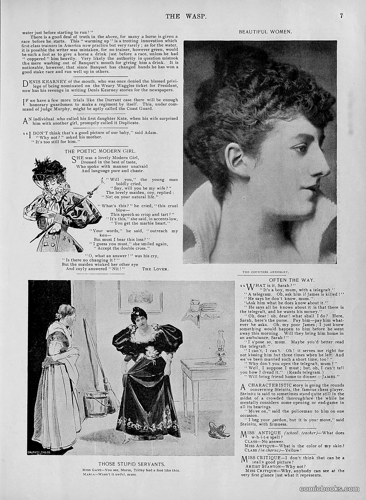 The Wasp — 1895 — page 686 of 1100