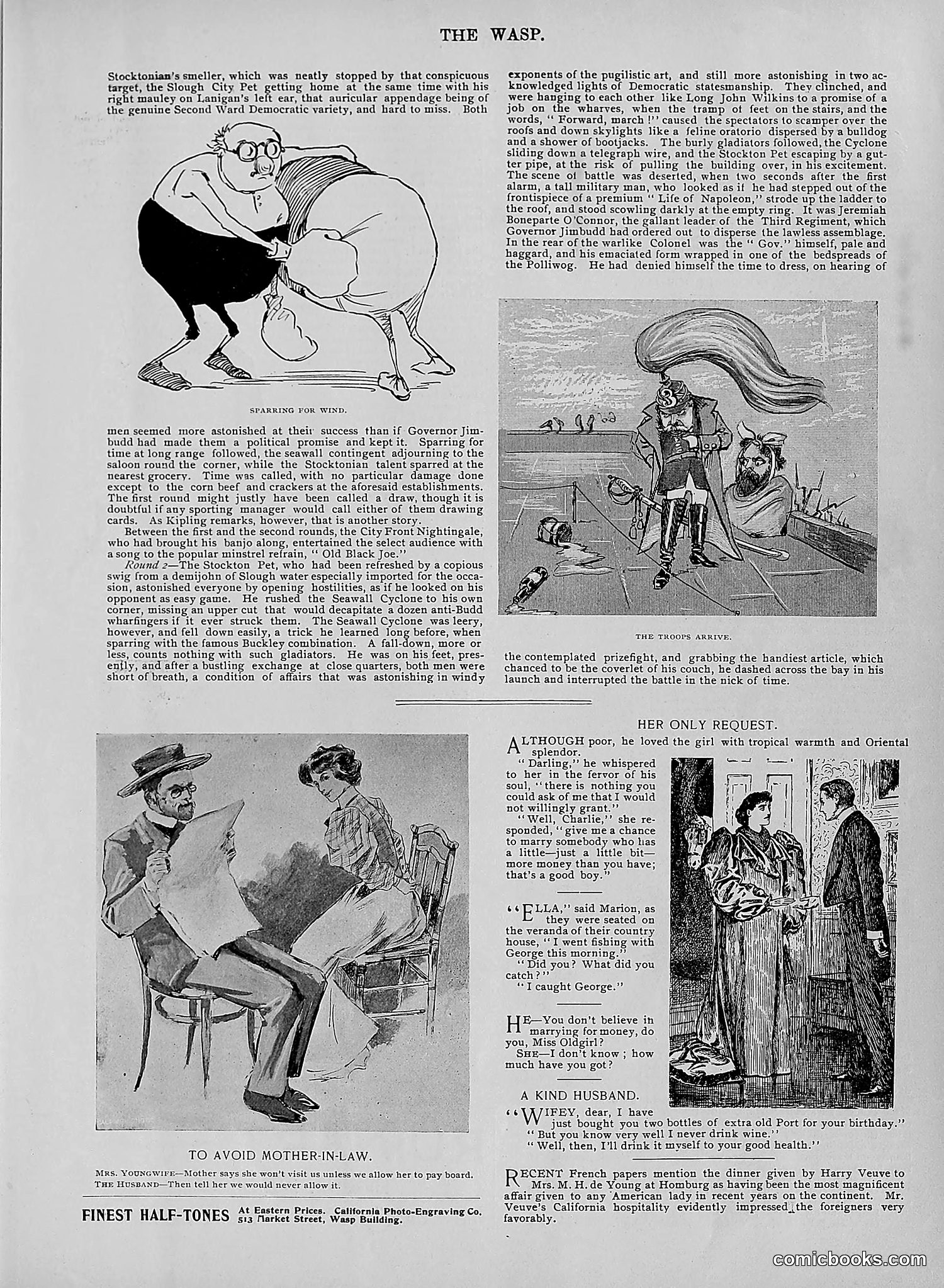 The Wasp — 1895 — page 688 of 1100