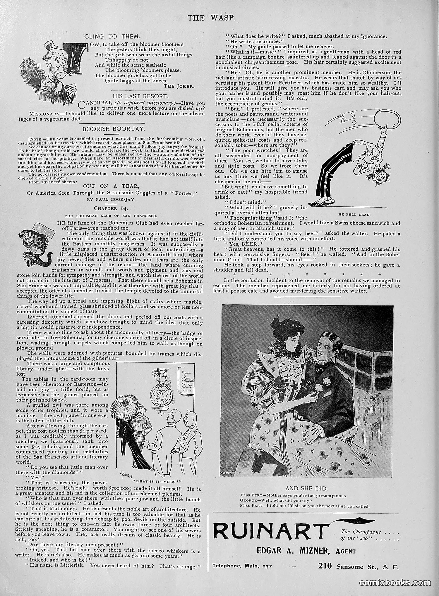 The Wasp — 1895 — page 689 of 1100