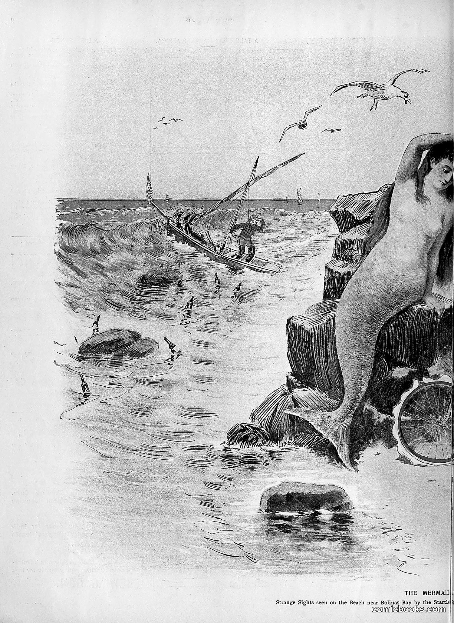 The Wasp — 1895 — page 691 of 1100