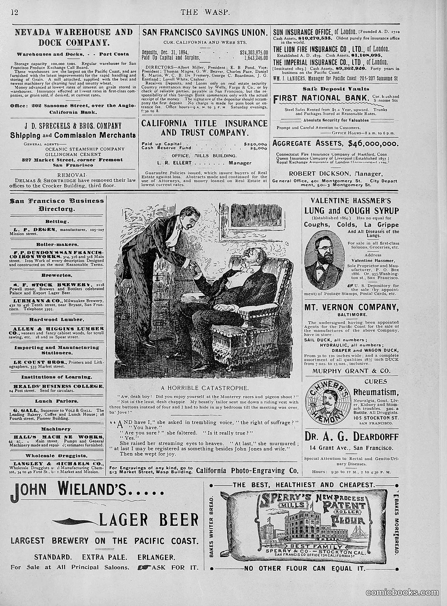 The Wasp — 1895 — page 693 of 1100