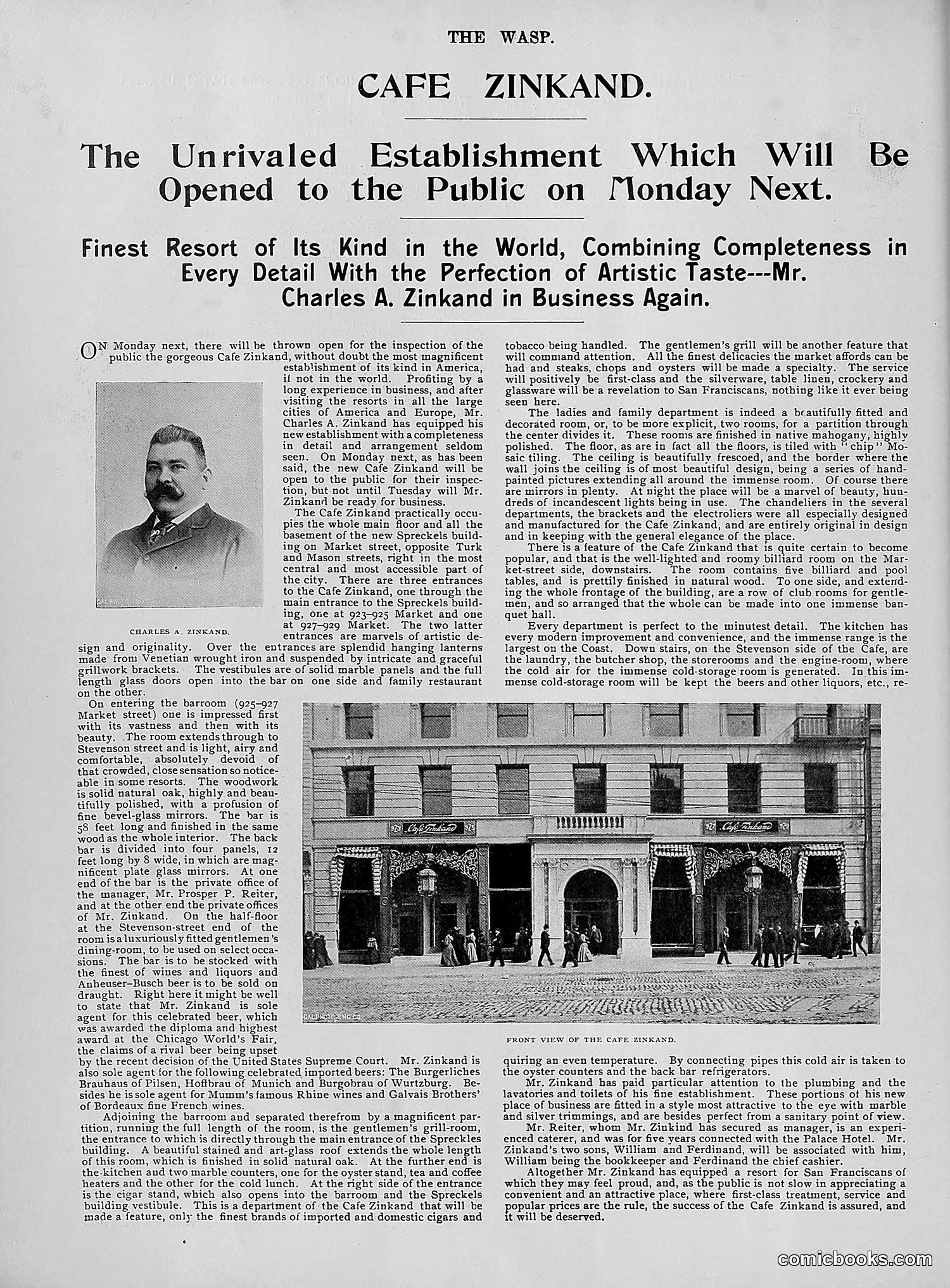 The Wasp — 1895 — page 695 of 1100