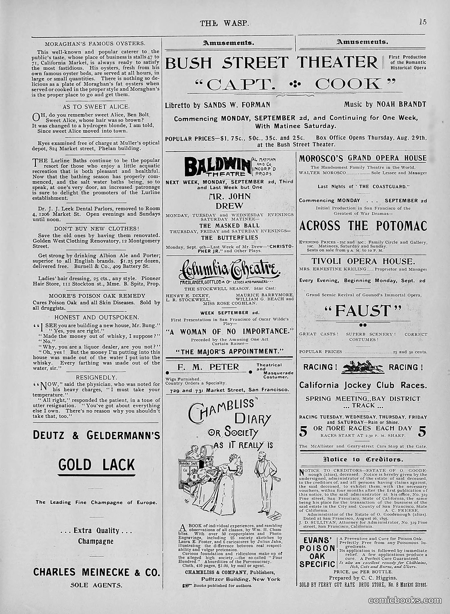 The Wasp — 1895 — page 698 of 1100