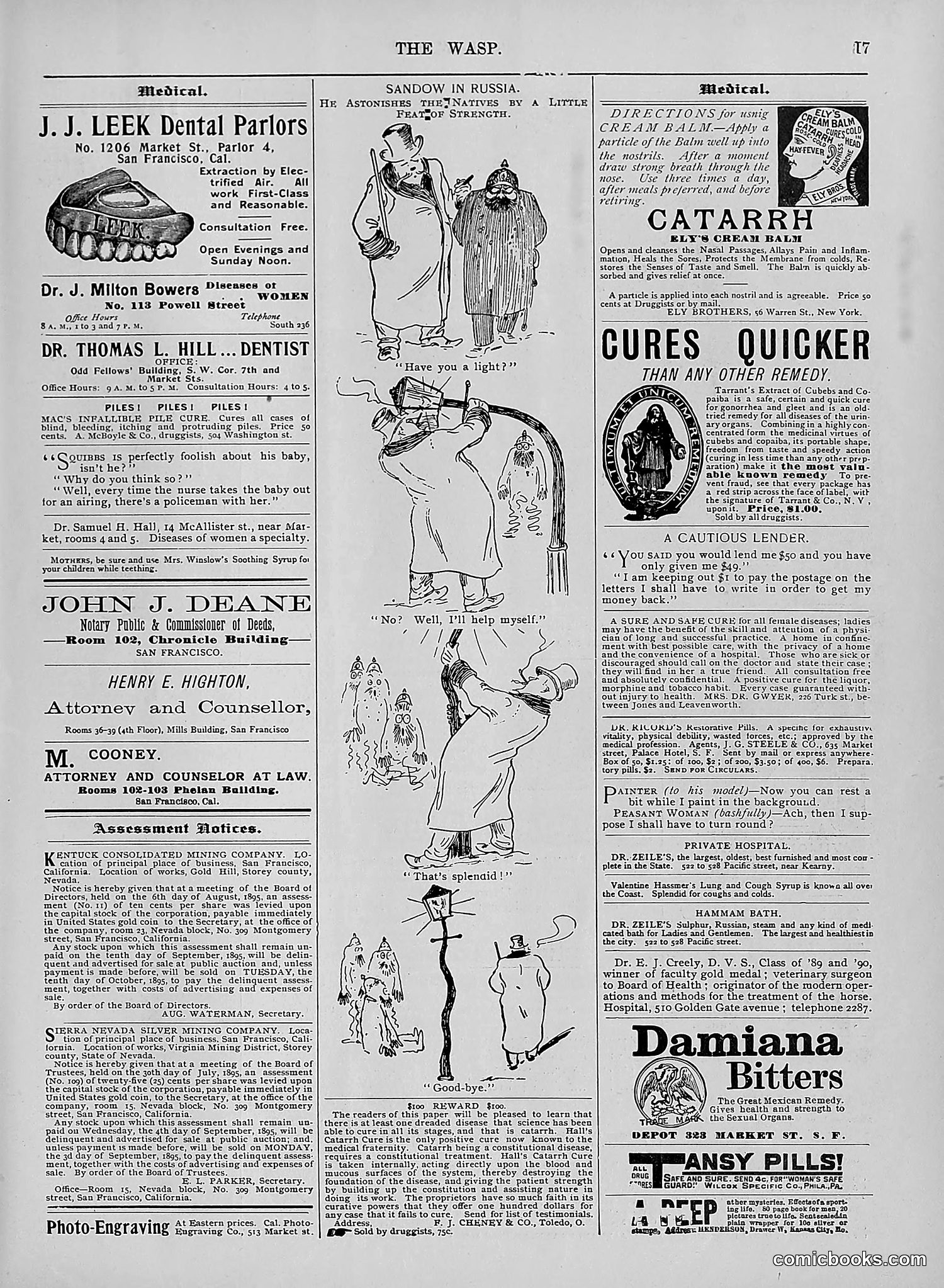 The Wasp — 1895 — page 700 of 1100