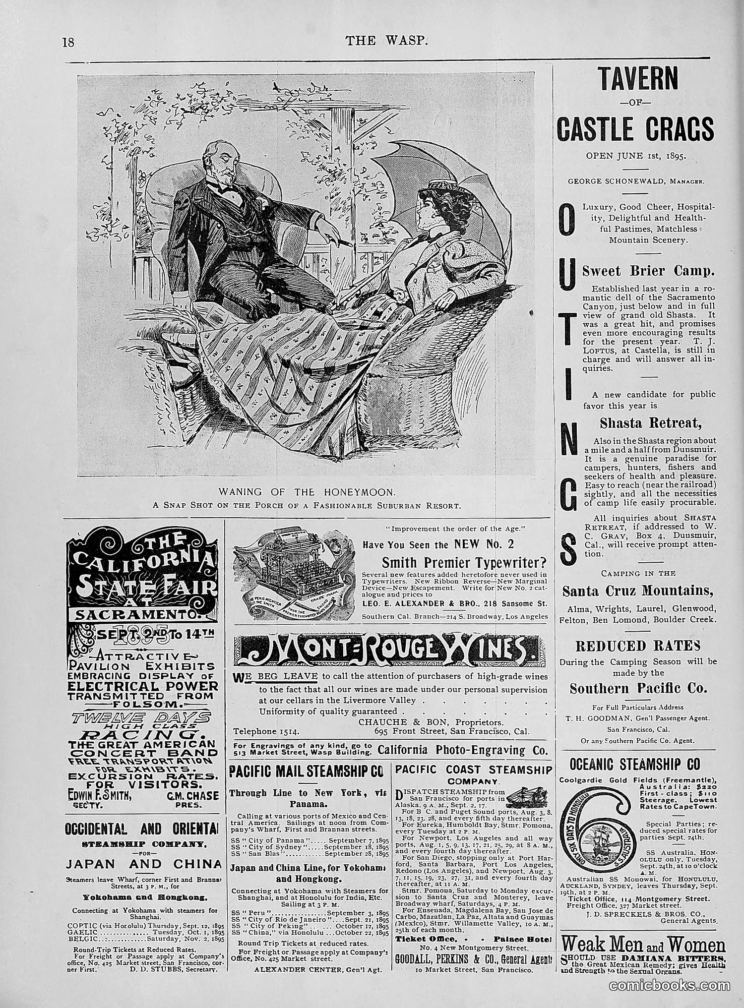 The Wasp — 1895 — page 701 of 1100