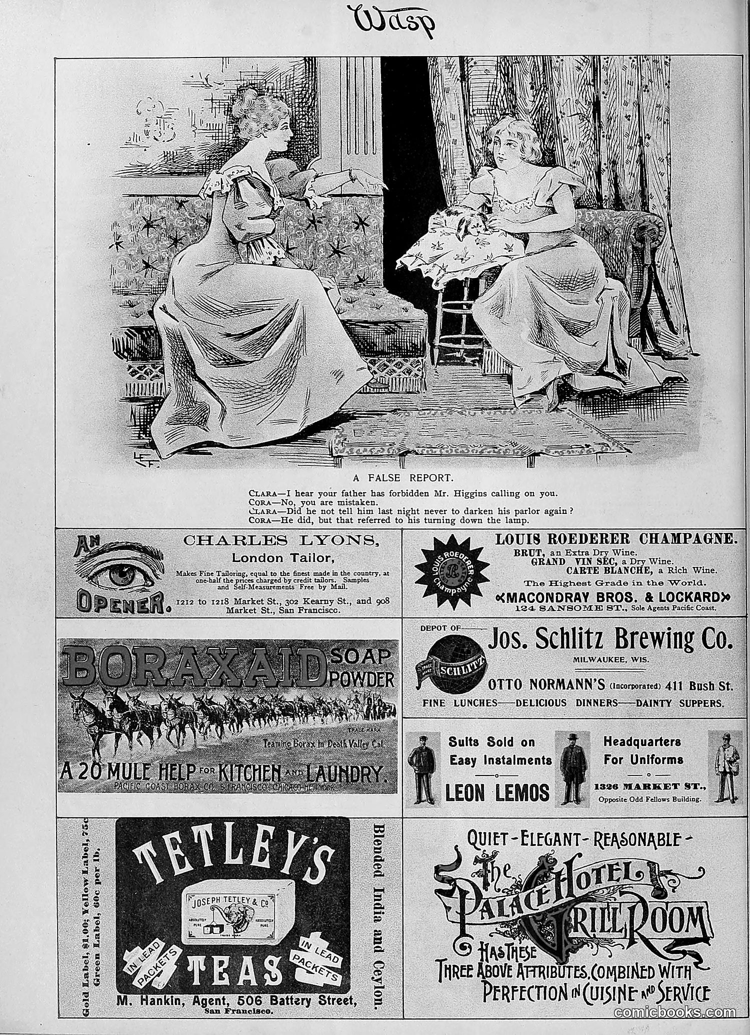 The Wasp — 1895 — page 703 of 1100
