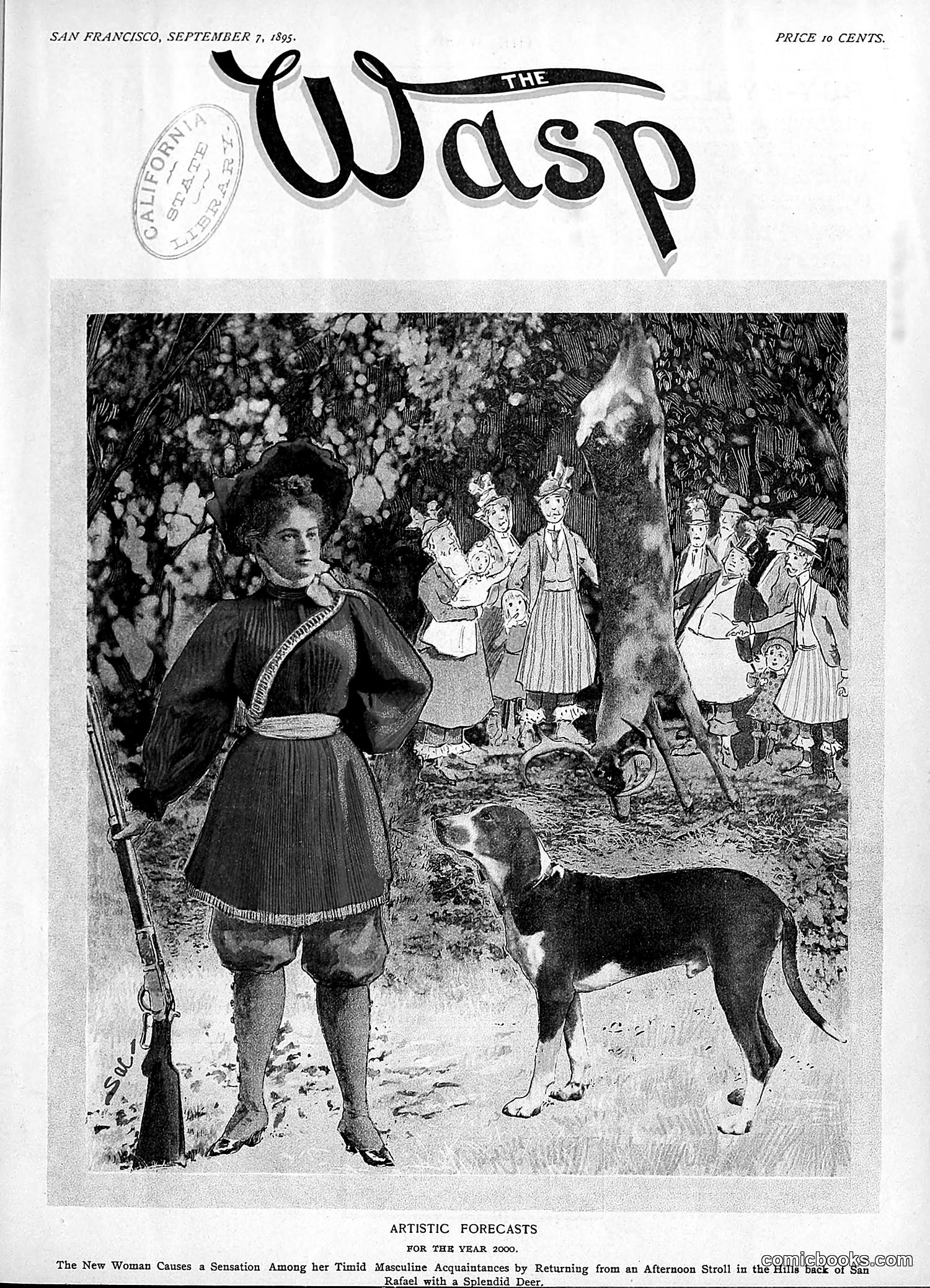 The Wasp — 1895 — page 704 of 1100
