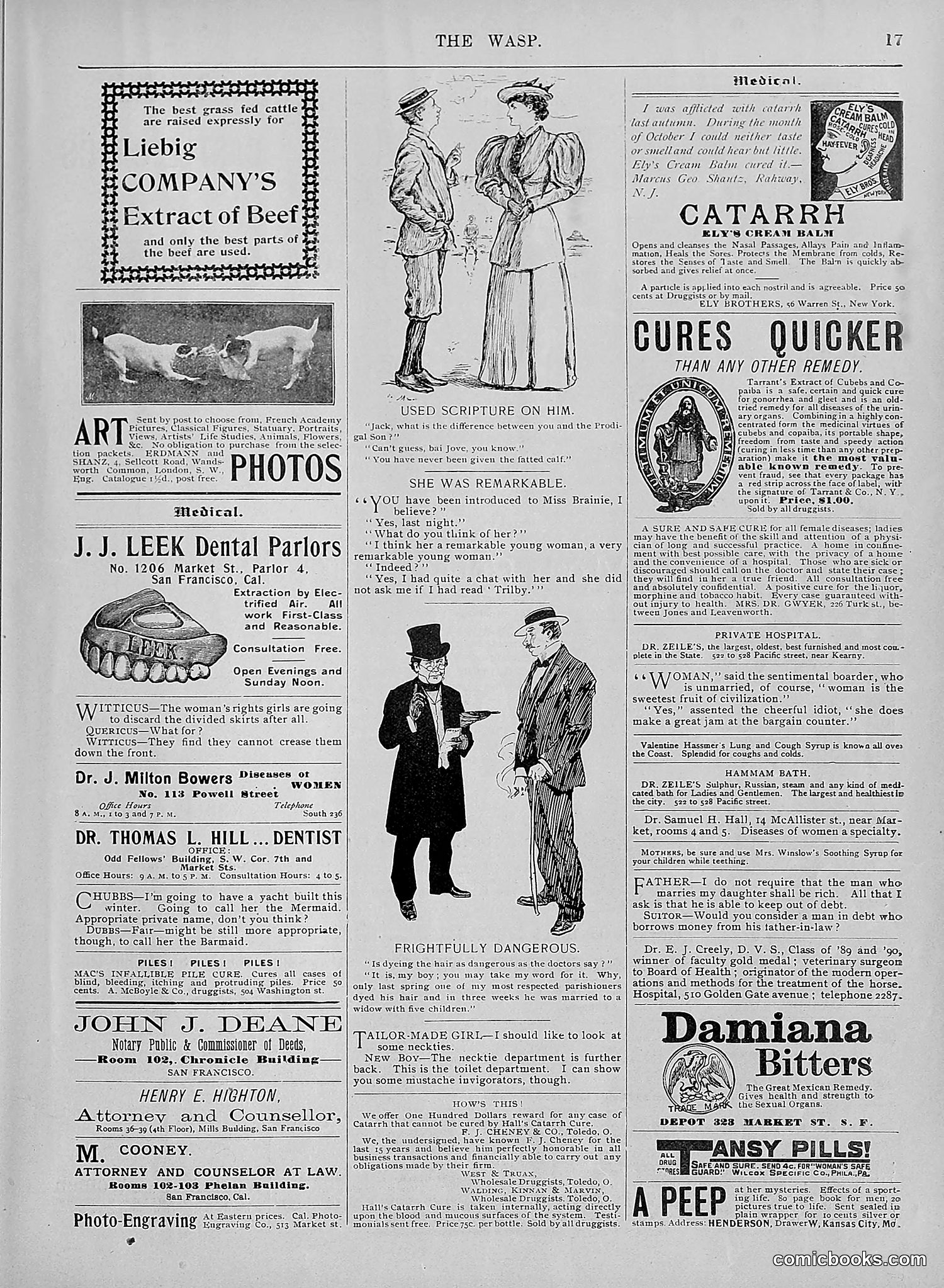 The Wasp — 1895 — page 720 of 1100