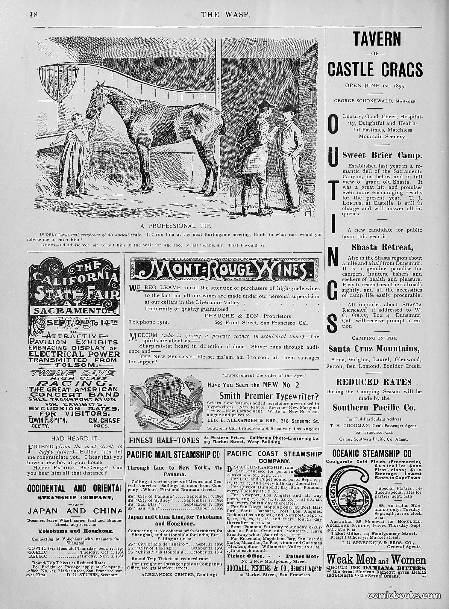 The Wasp — 1895 — page 721 of 1100