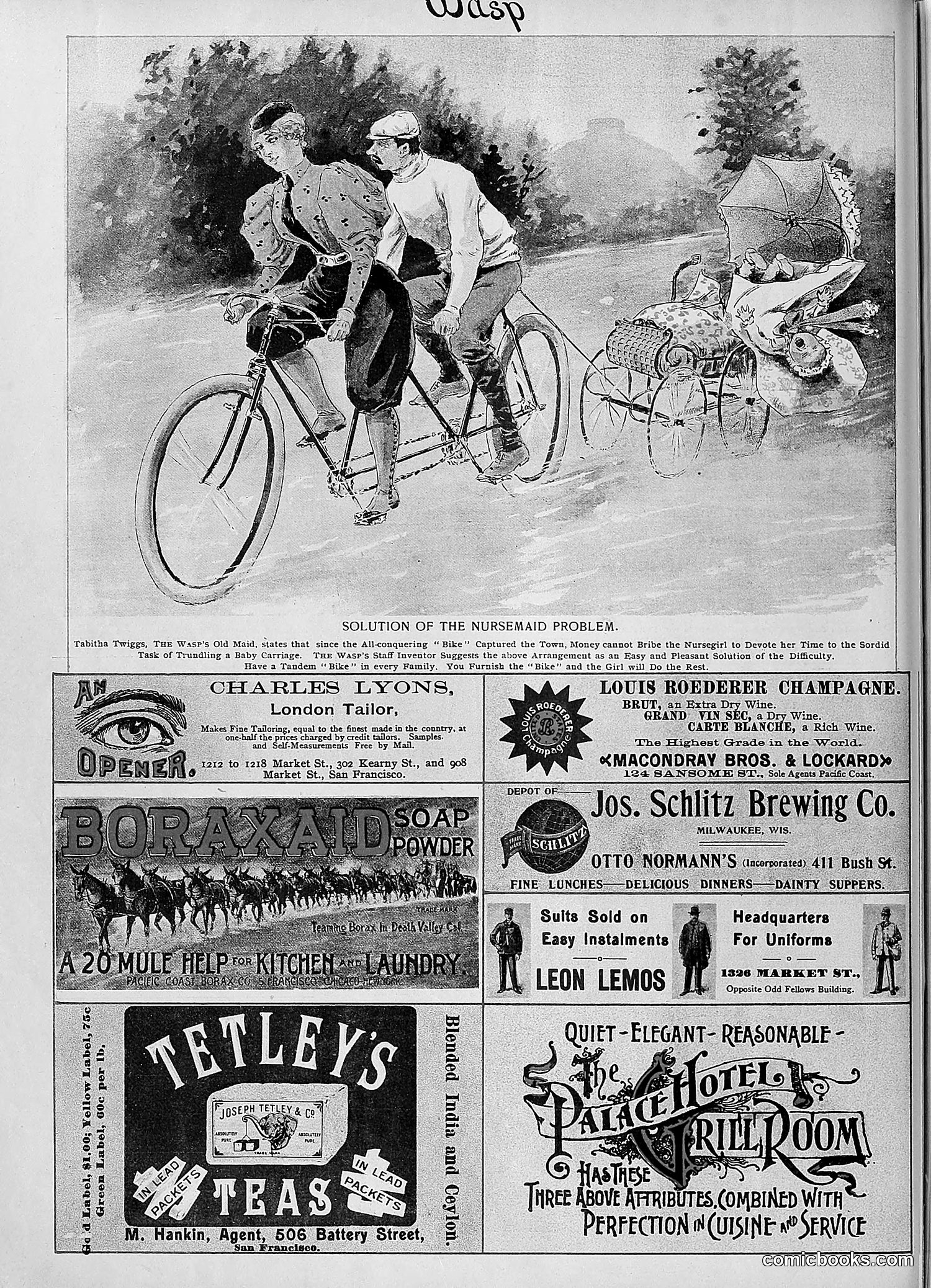 The Wasp — 1895 — page 723 of 1100