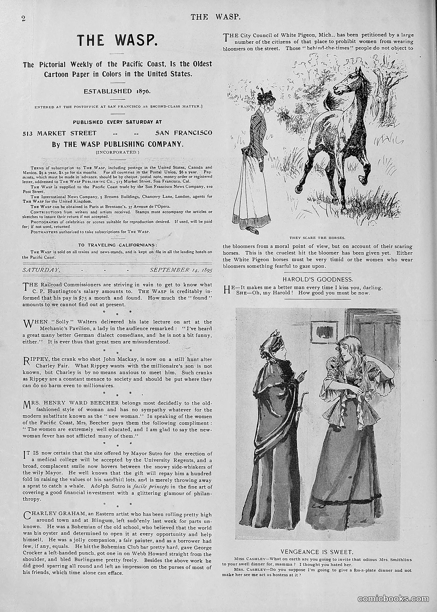 The Wasp — 1895 — page 725 of 1100
