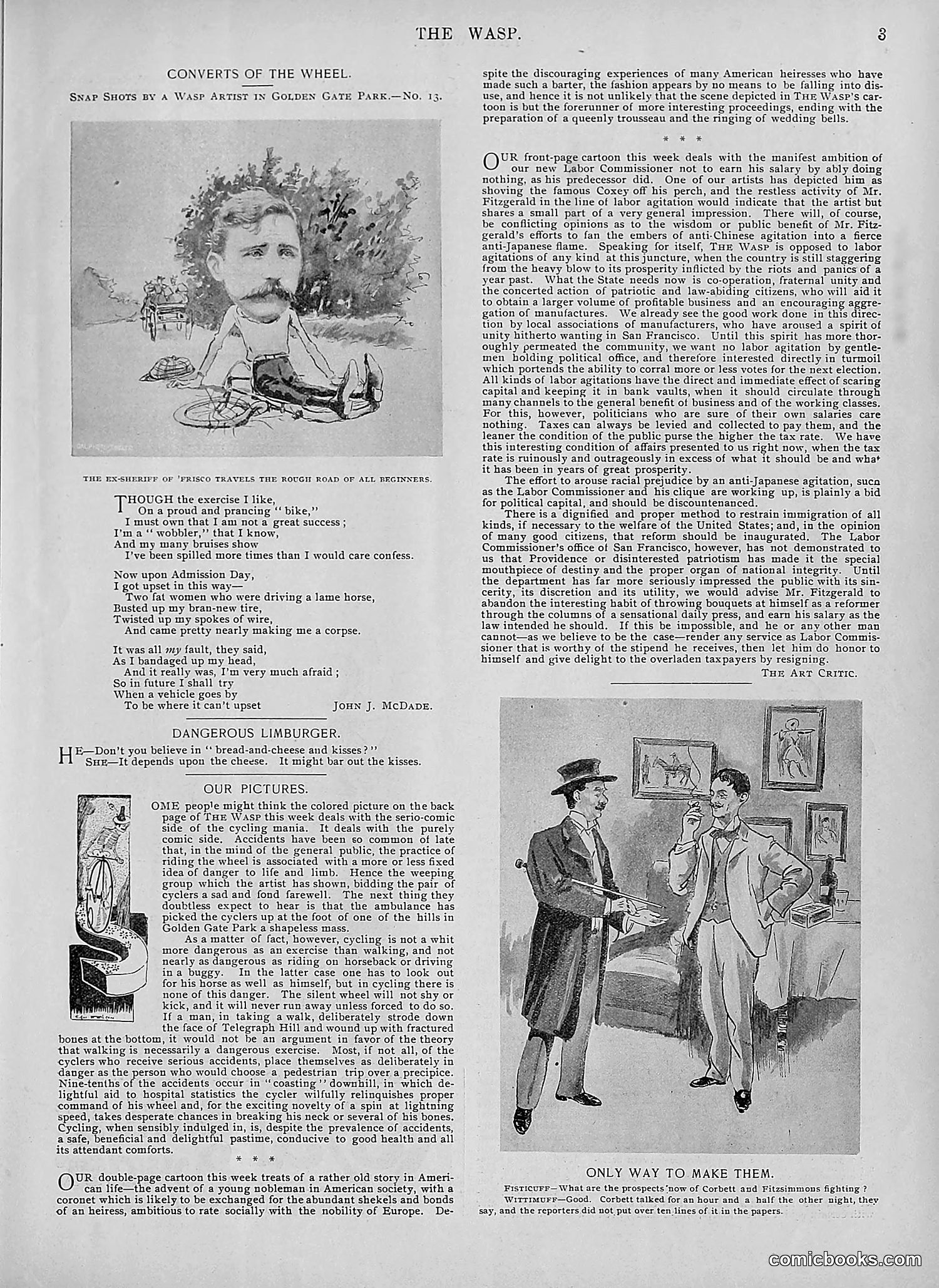 The Wasp — 1895 — page 726 of 1100