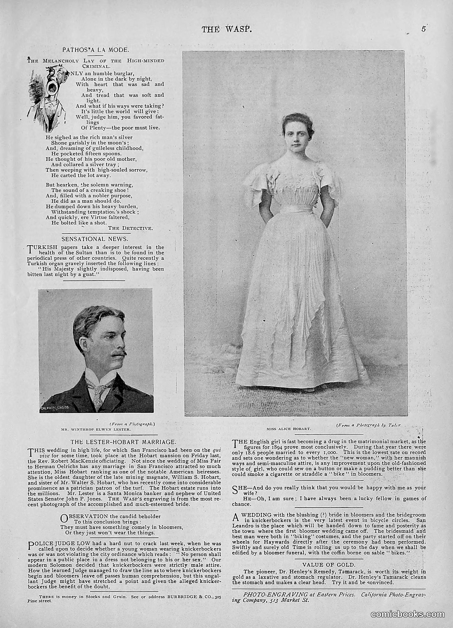 The Wasp — 1895 — page 728 of 1100