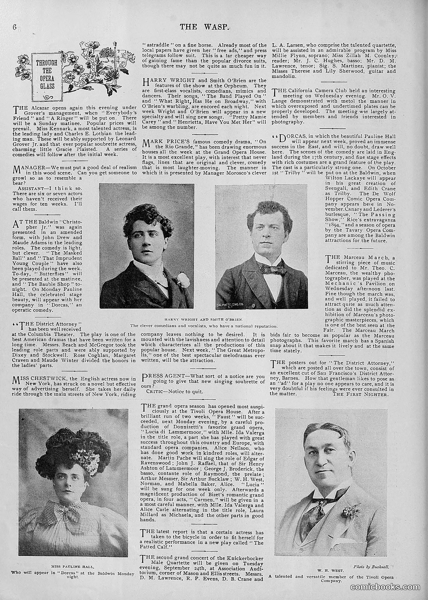 The Wasp — 1895 — page 729 of 1100