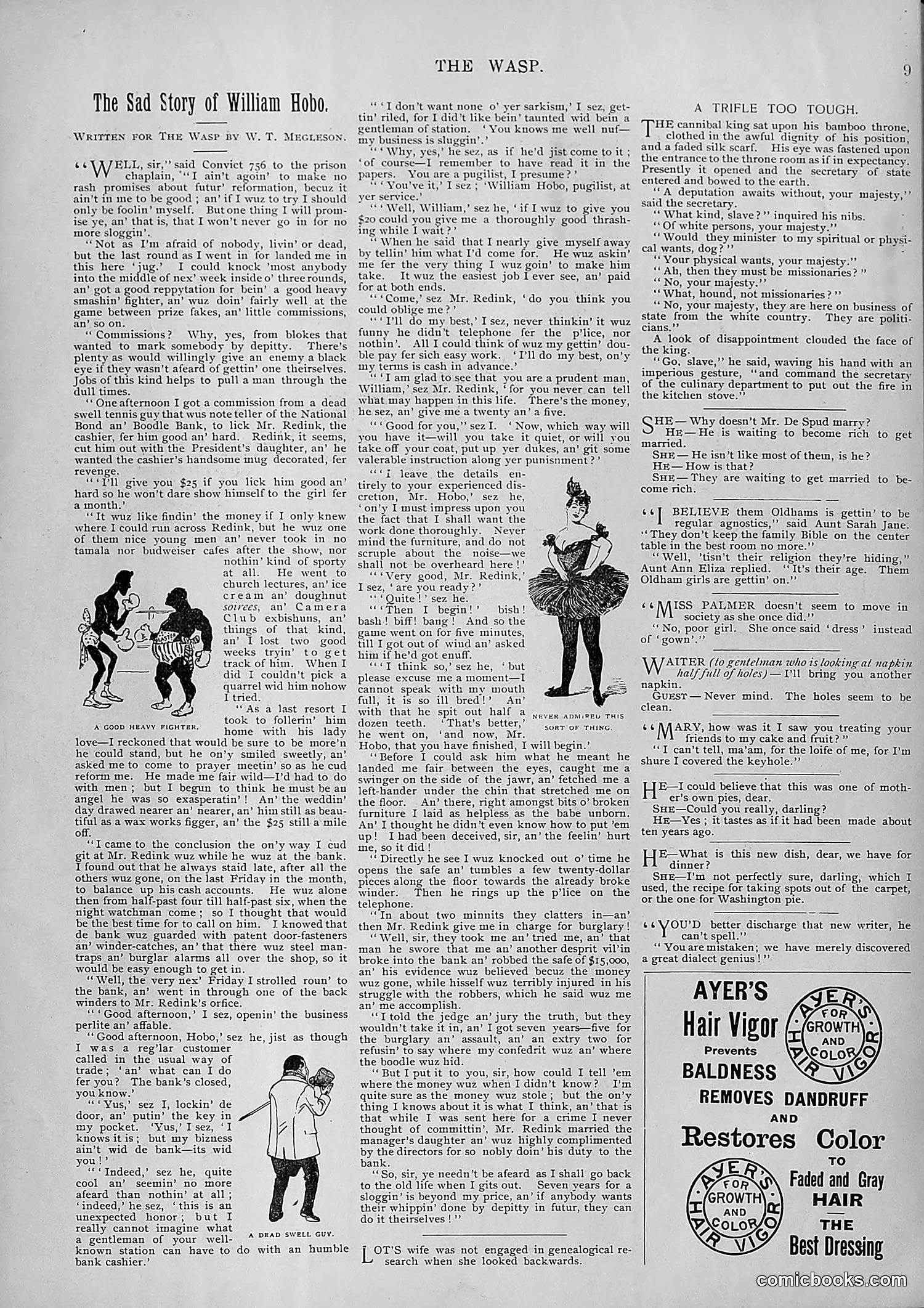 The Wasp — 1895 — page 74 of 1100