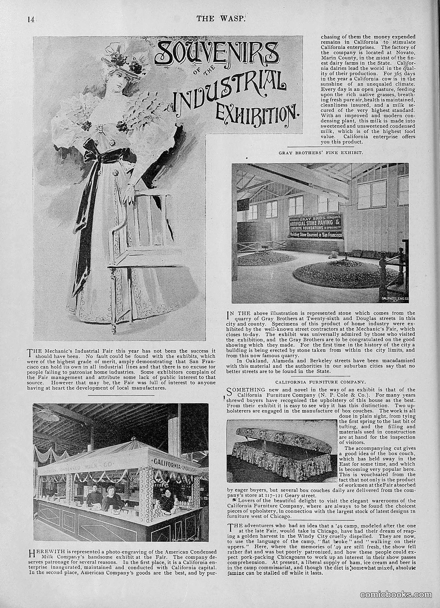 The Wasp — 1895 — page 737 of 1100