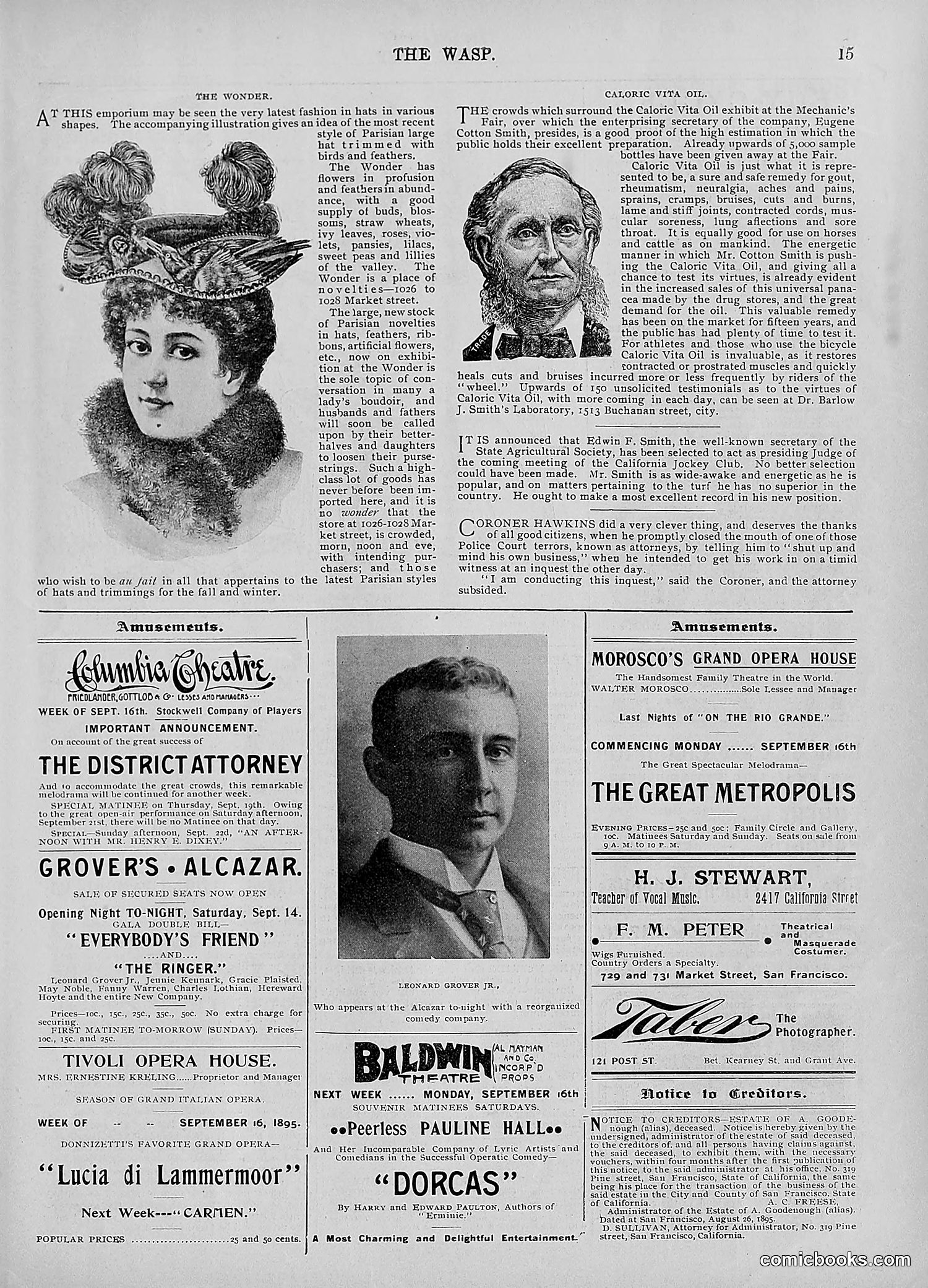 The Wasp — 1895 — page 738 of 1100
