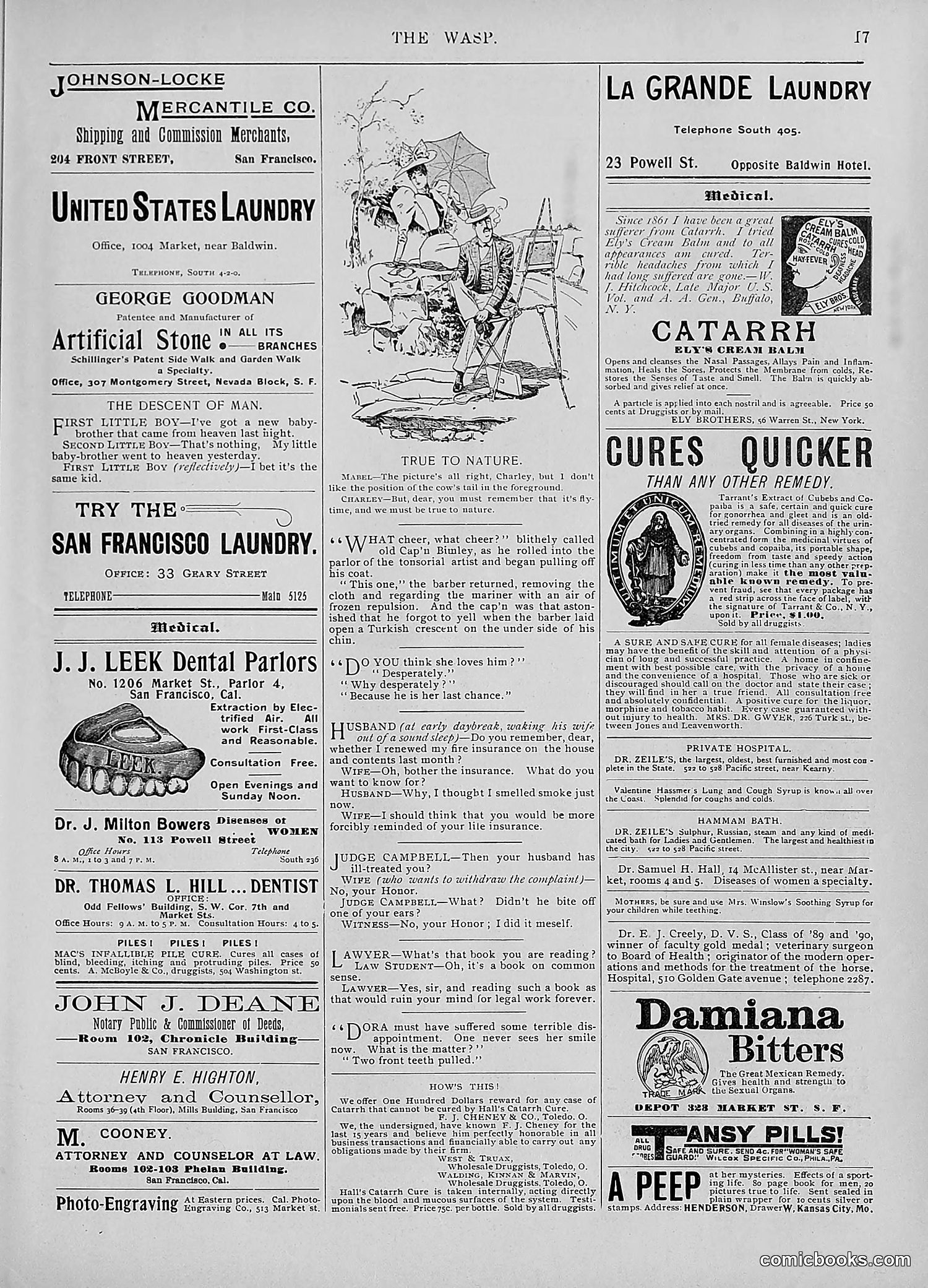 The Wasp — 1895 — page 740 of 1100