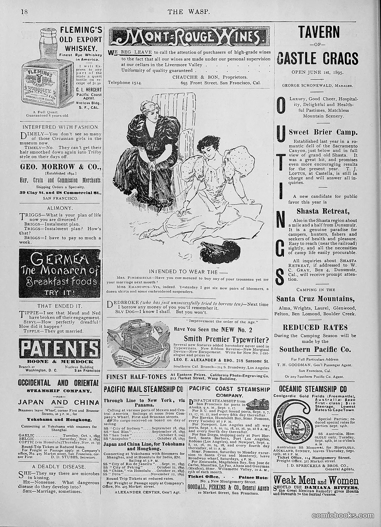 The Wasp — 1895 — page 741 of 1100