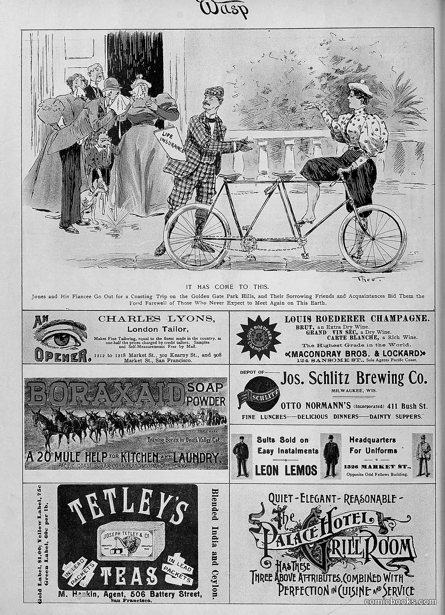 The Wasp — 1895 — page 743 of 1100