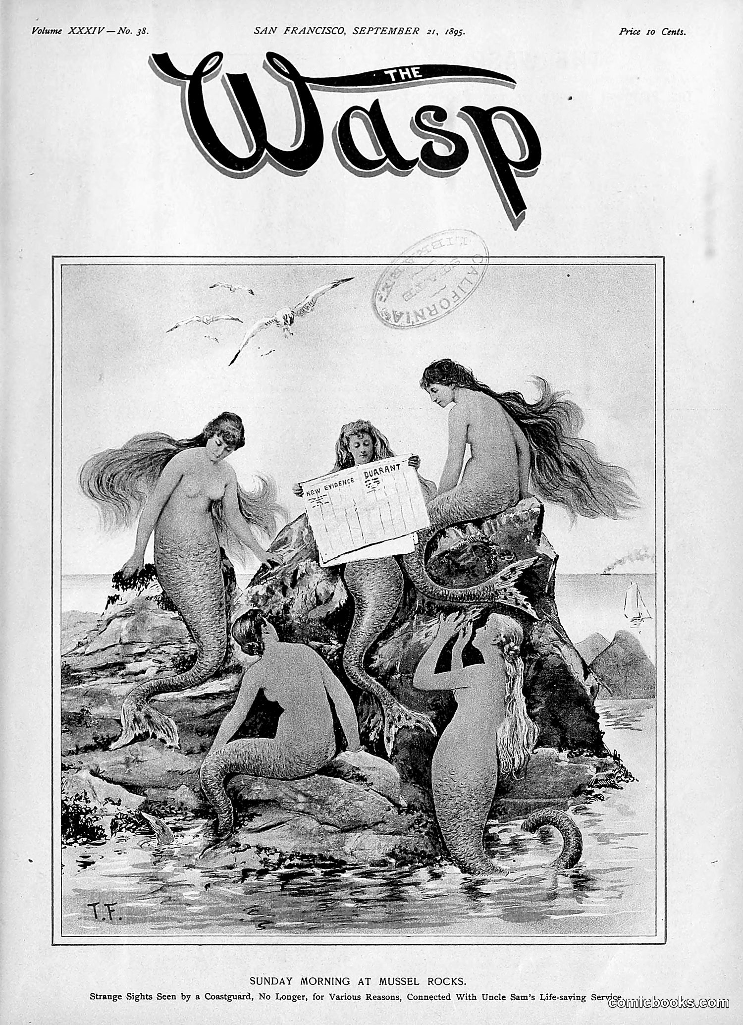 The Wasp — 1895 — page 744 of 1100