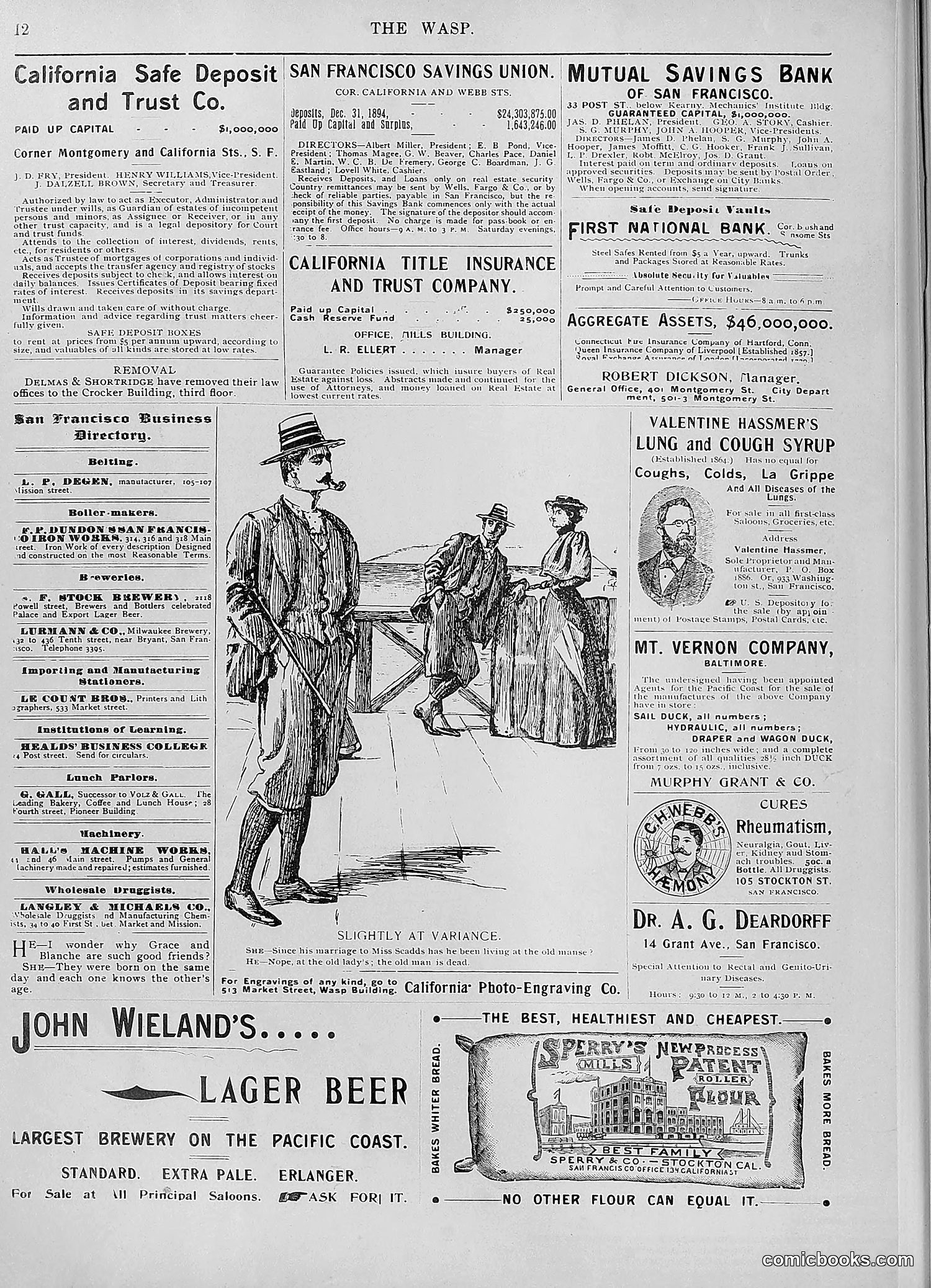The Wasp — 1895 — page 755 of 1100