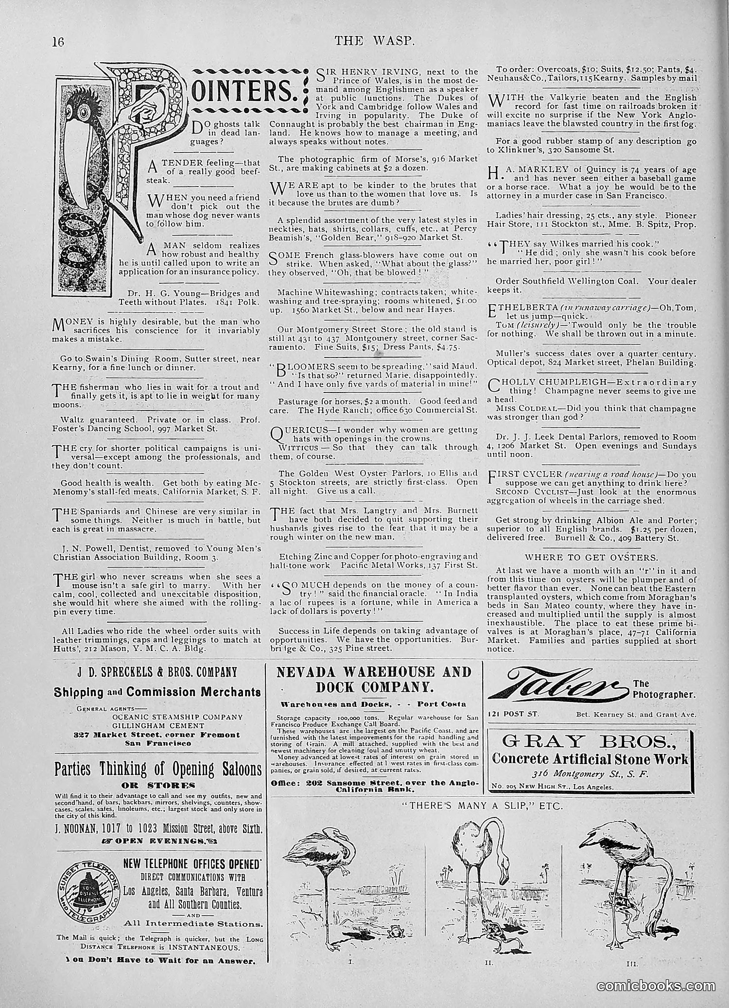 The Wasp — 1895 — page 759 of 1100