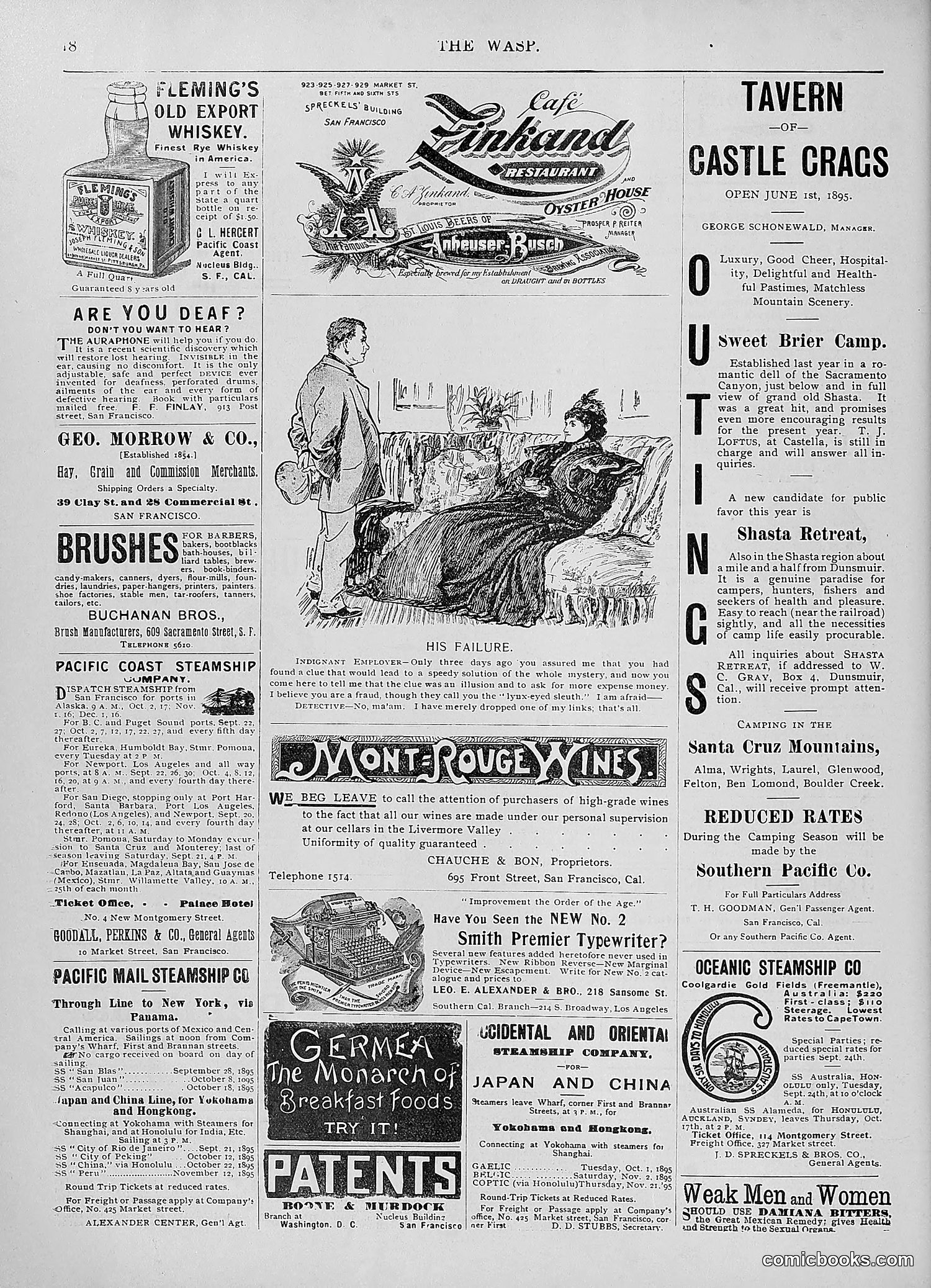 The Wasp — 1895 — page 761 of 1100