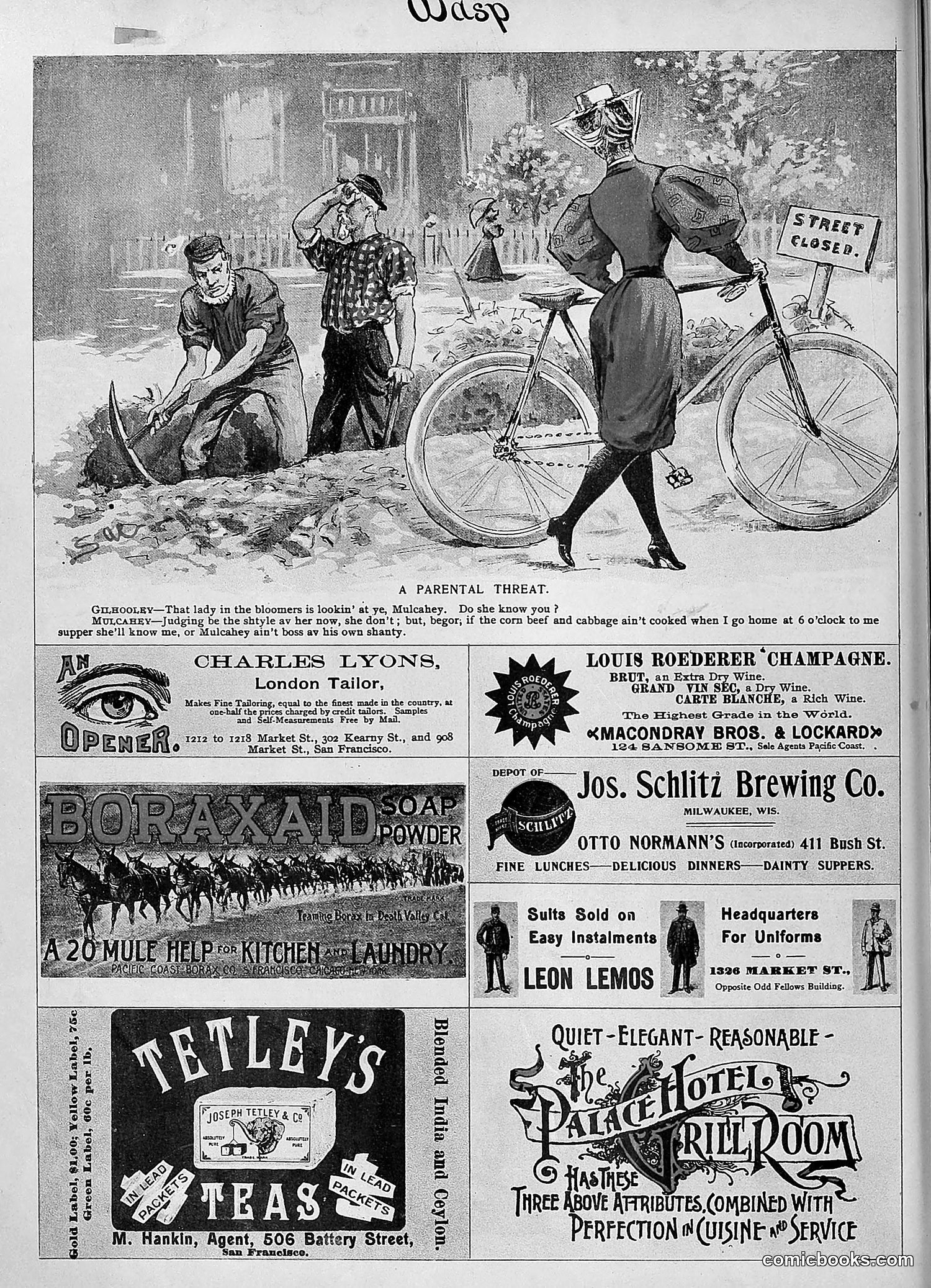 The Wasp — 1895 — page 763 of 1100