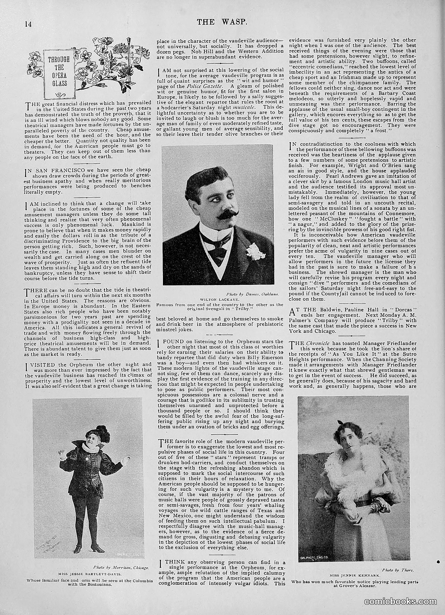 The Wasp — 1895 — page 777 of 1100