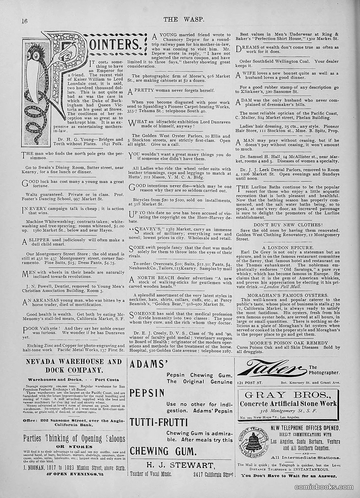 The Wasp — 1895 — page 779 of 1100