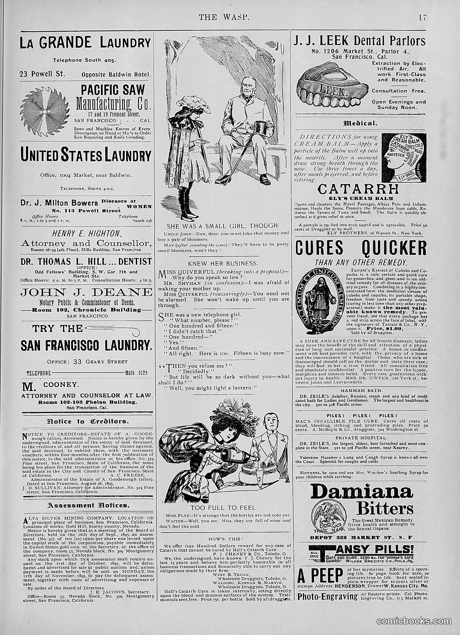The Wasp — 1895 — page 780 of 1100