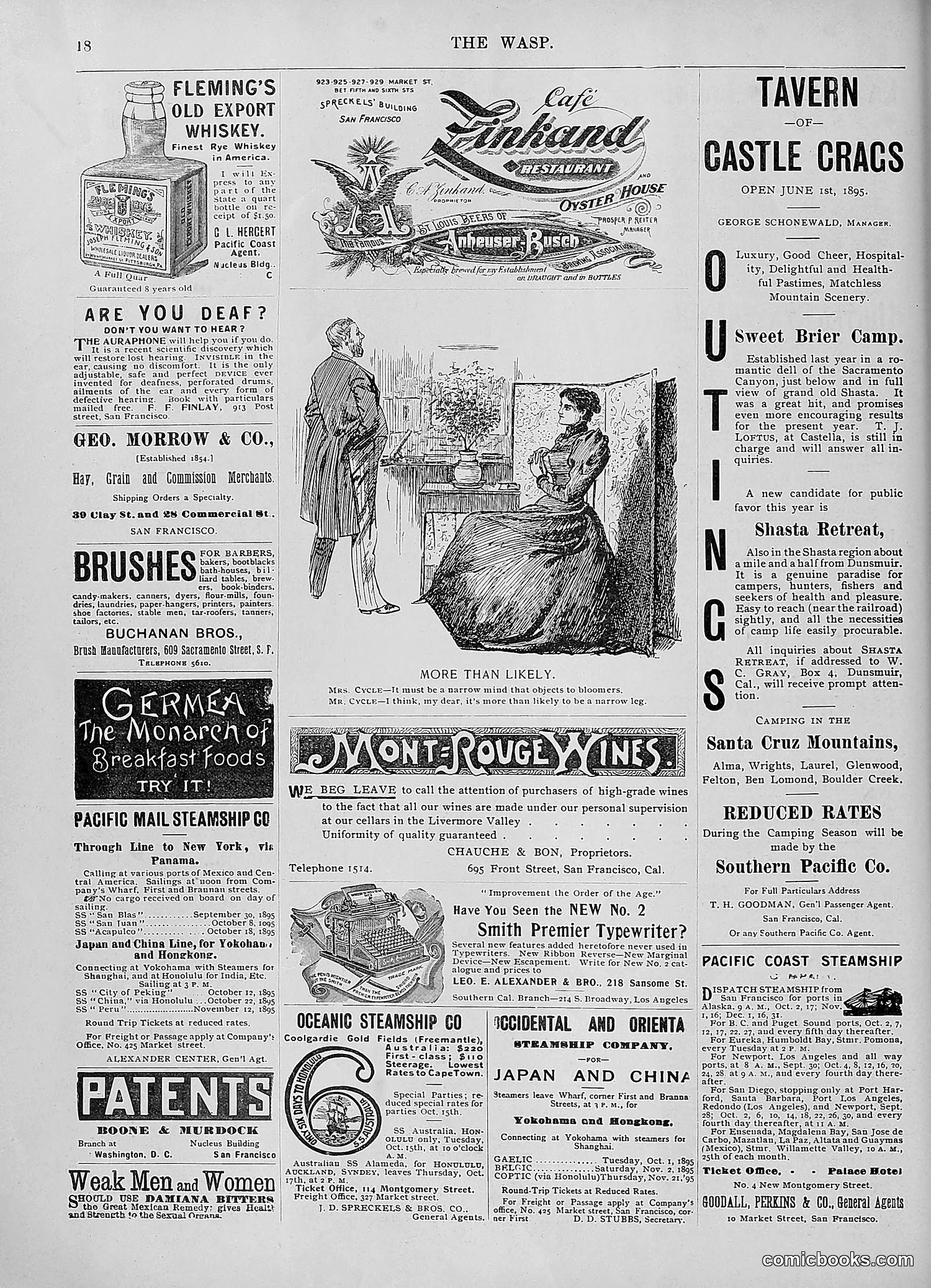The Wasp — 1895 — page 781 of 1100