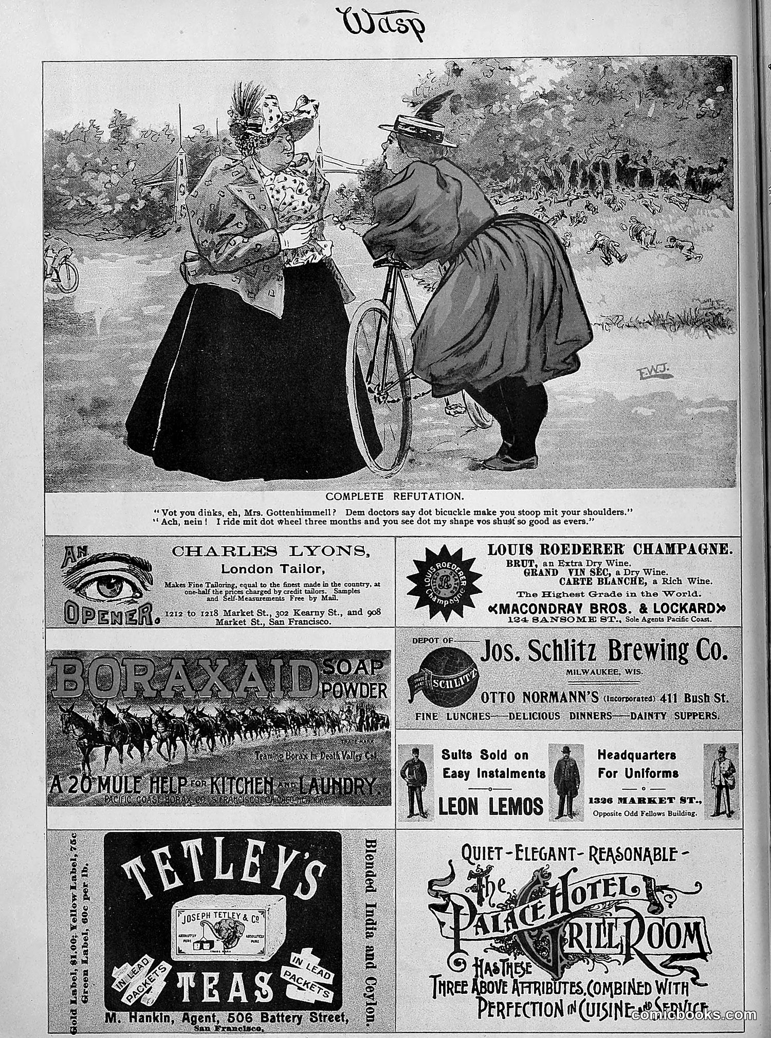 The Wasp — 1895 — page 783 of 1100