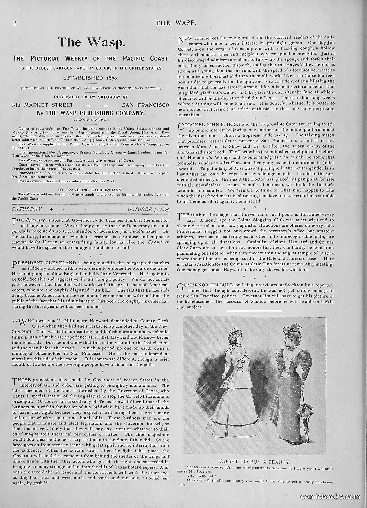 The Wasp — 1895 — page 785 of 1100