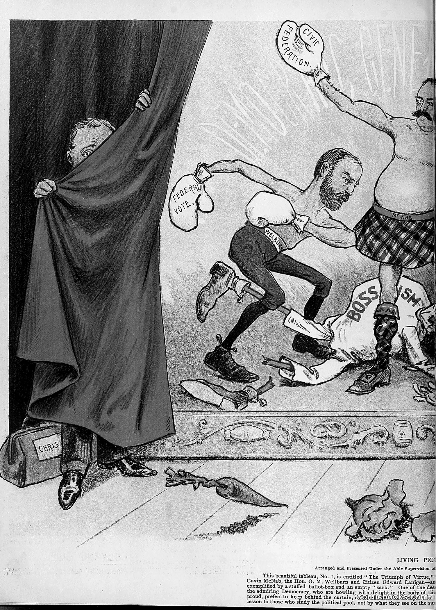 The Wasp — 1895 — page 793 of 1100