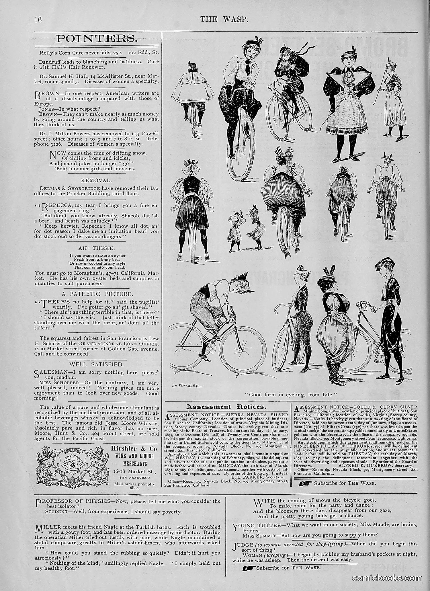 The Wasp — 1895 — page 81 of 1100