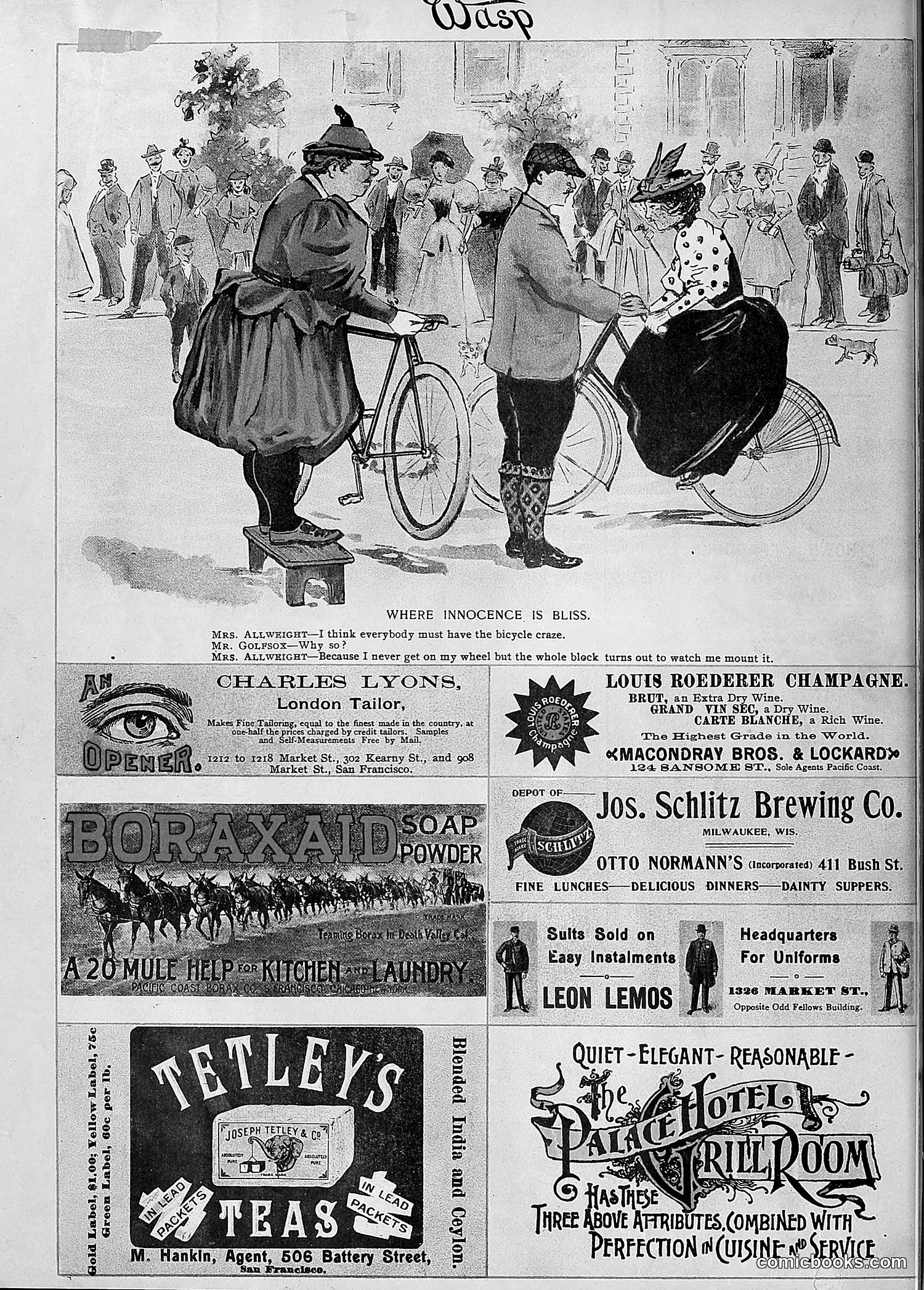 The Wasp — 1895 — page 803 of 1100