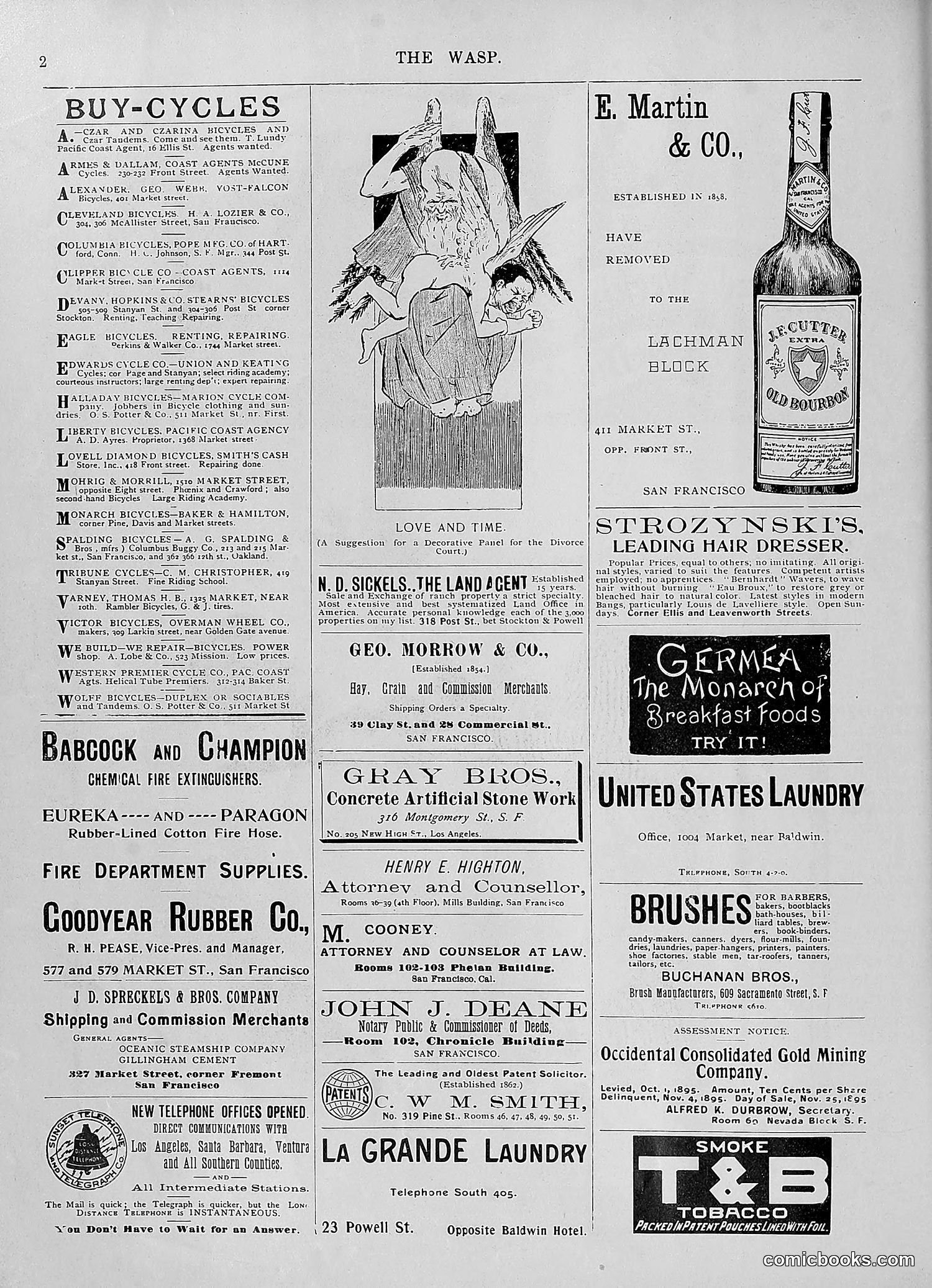 The Wasp — 1895 — page 805 of 1100